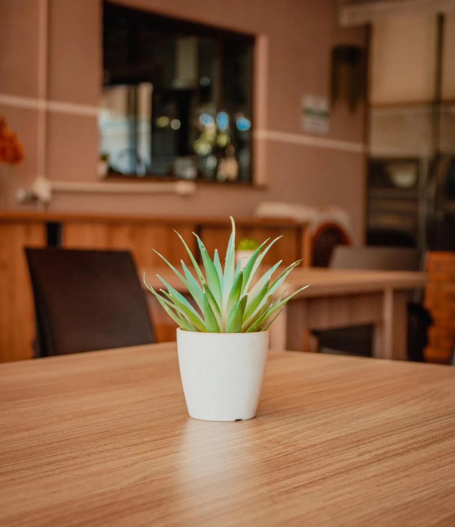 Other in Pousada Nanai