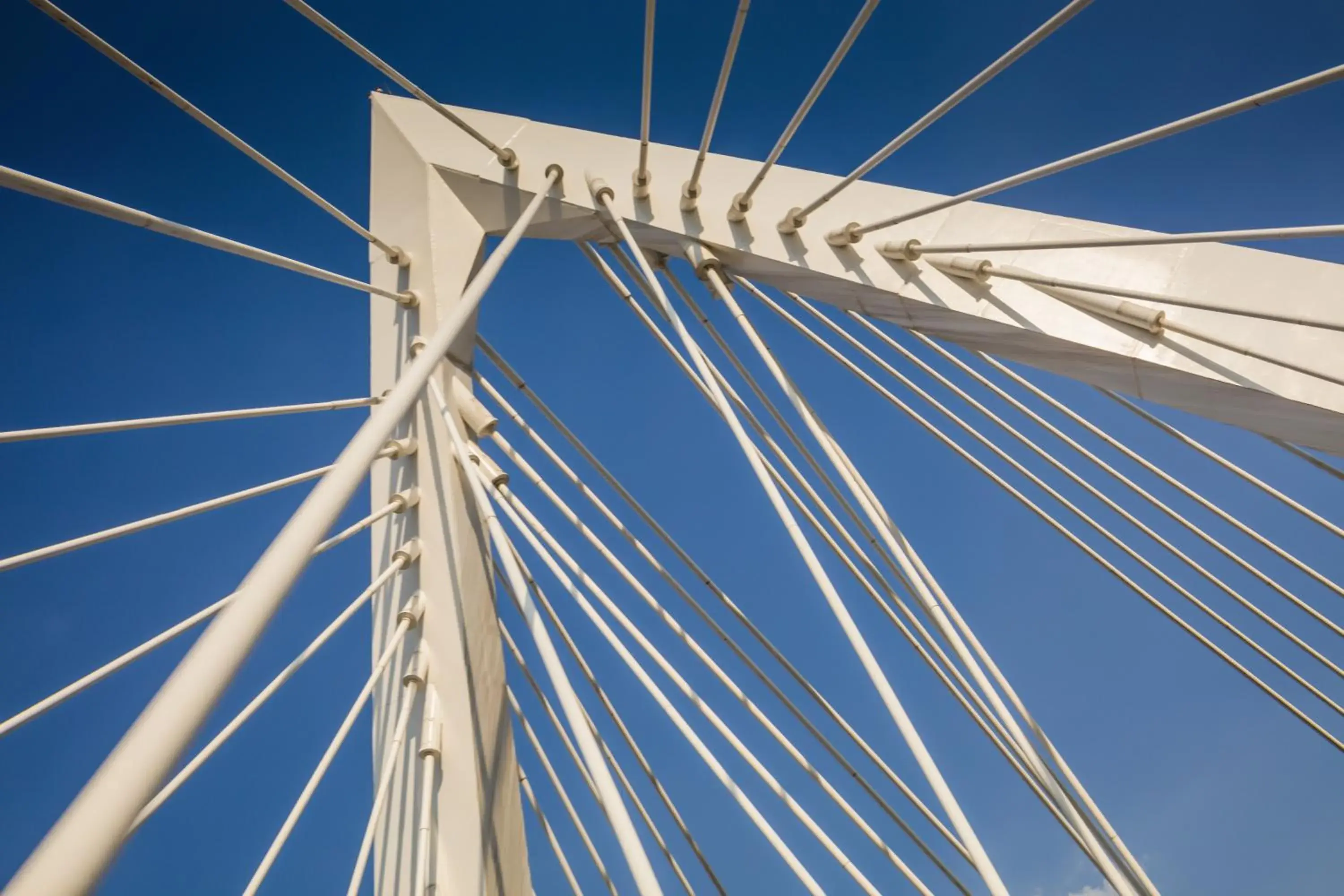 One Guadalajara Expo One Guadalajara Expo