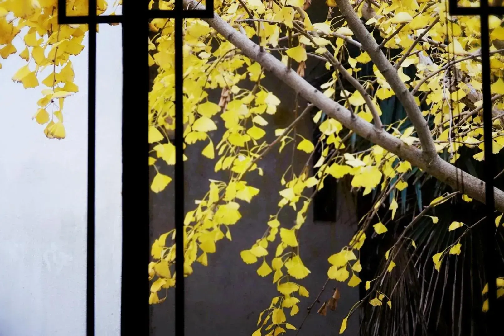 Inner courtyard view in Pure-Land Villa Inner courtyard view in Pure-Land Villa