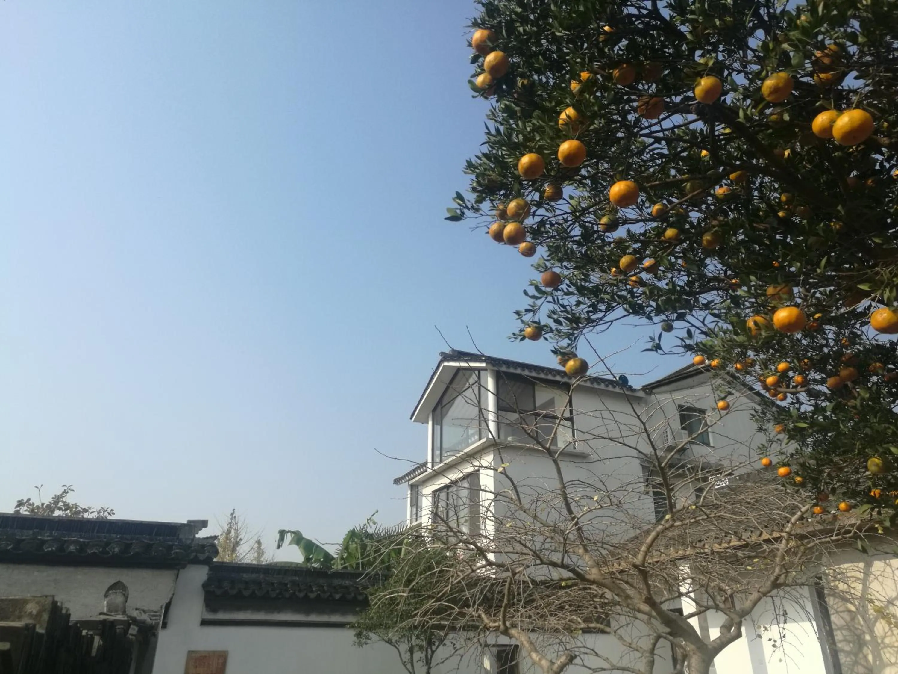 Property building in Pure-Land Villa