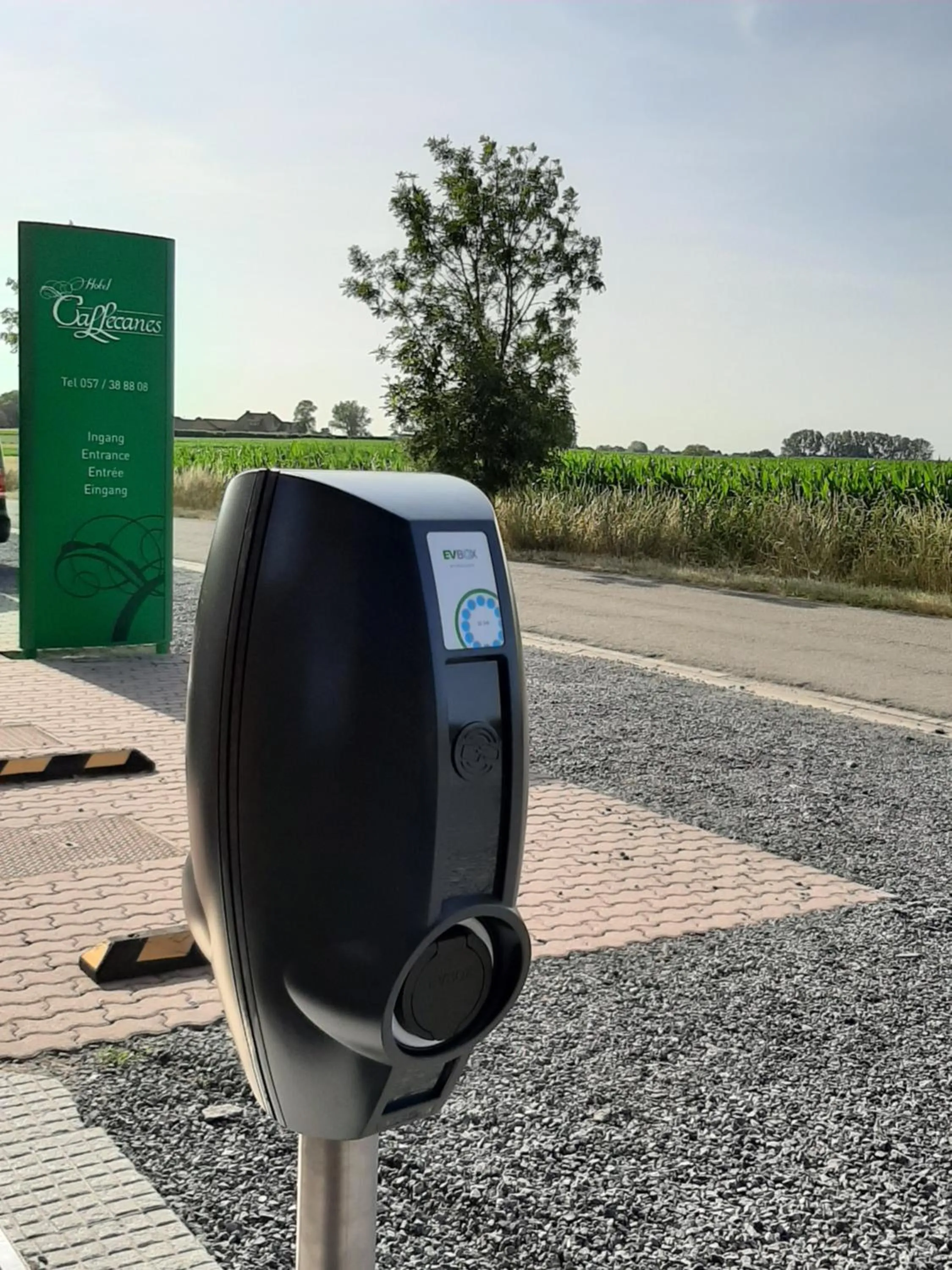 Other in Hotel Callecanes