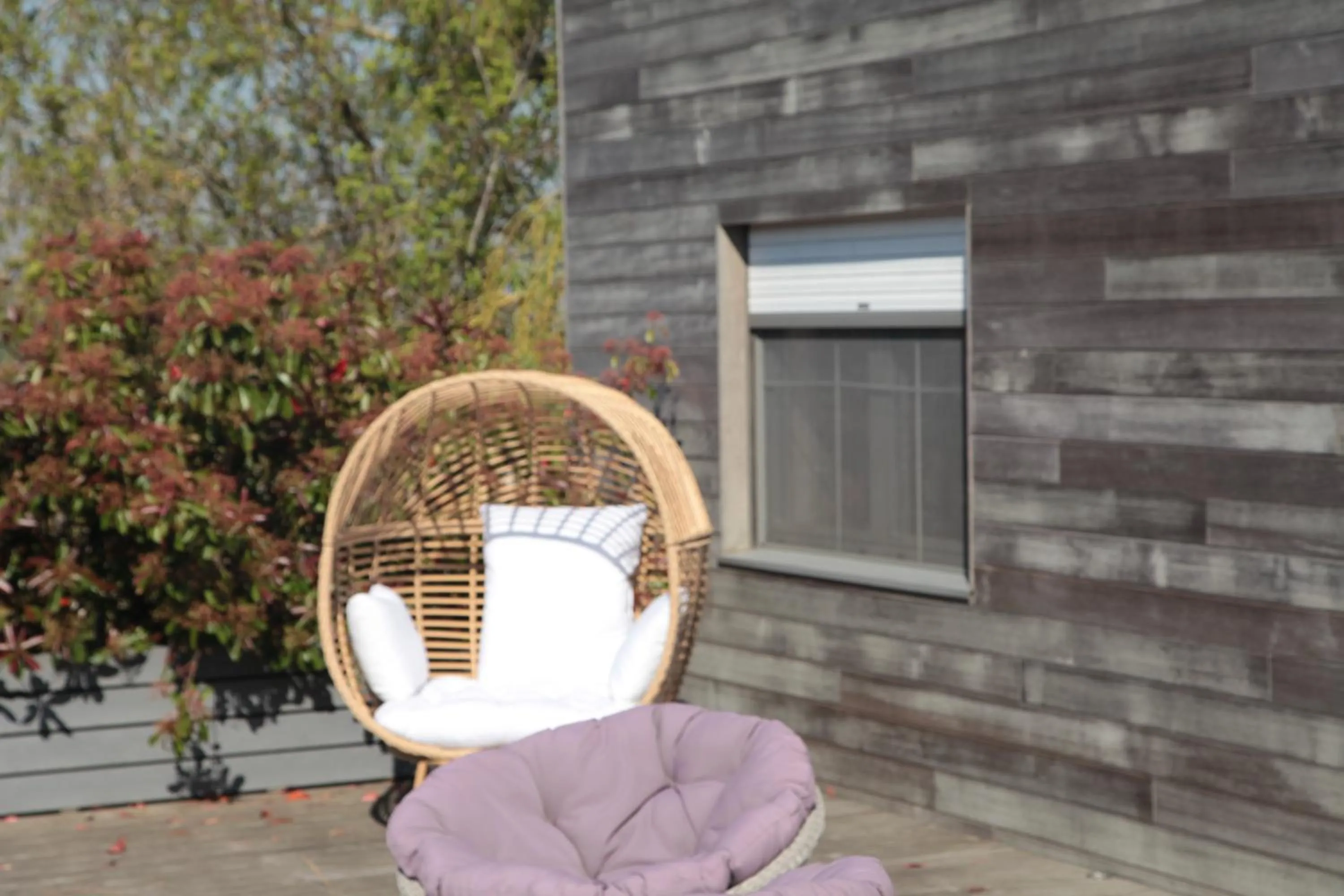 Patio in Hotel Callecanes