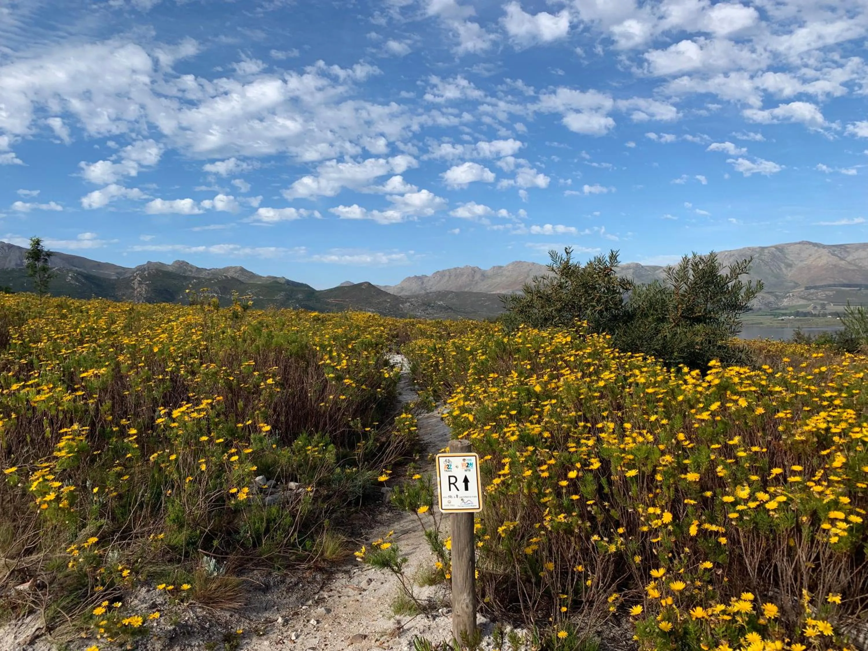 Neighbourhood in Trail's End