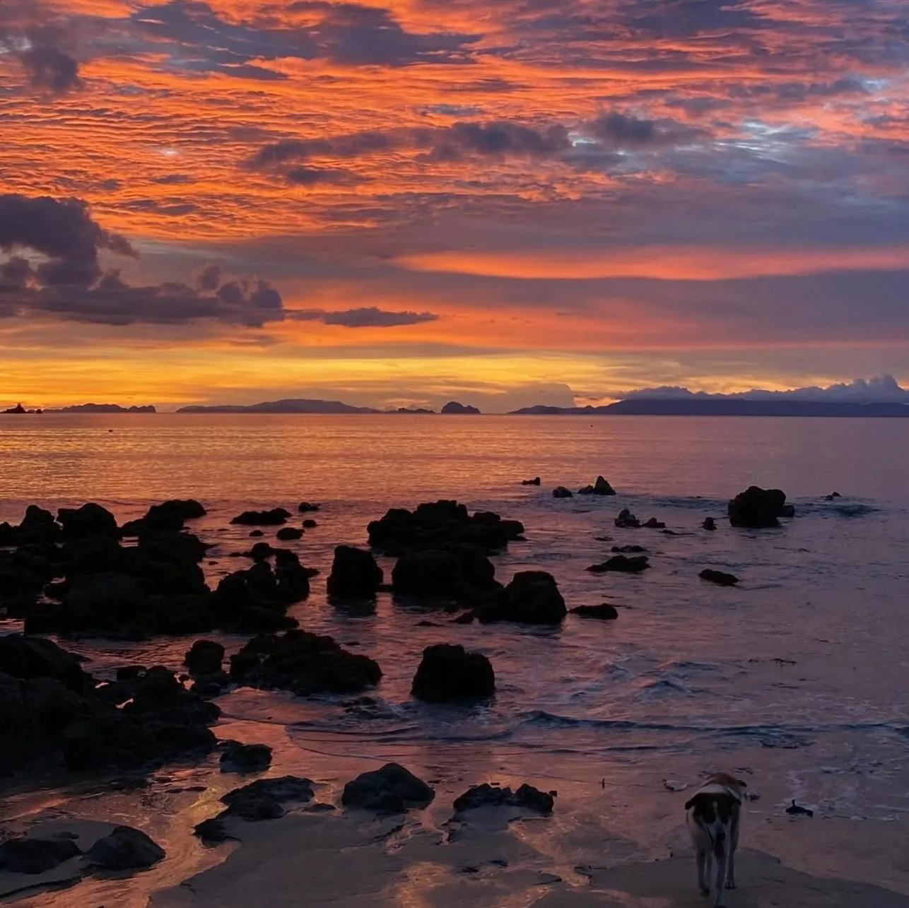 Heaven Beach Resort & Art