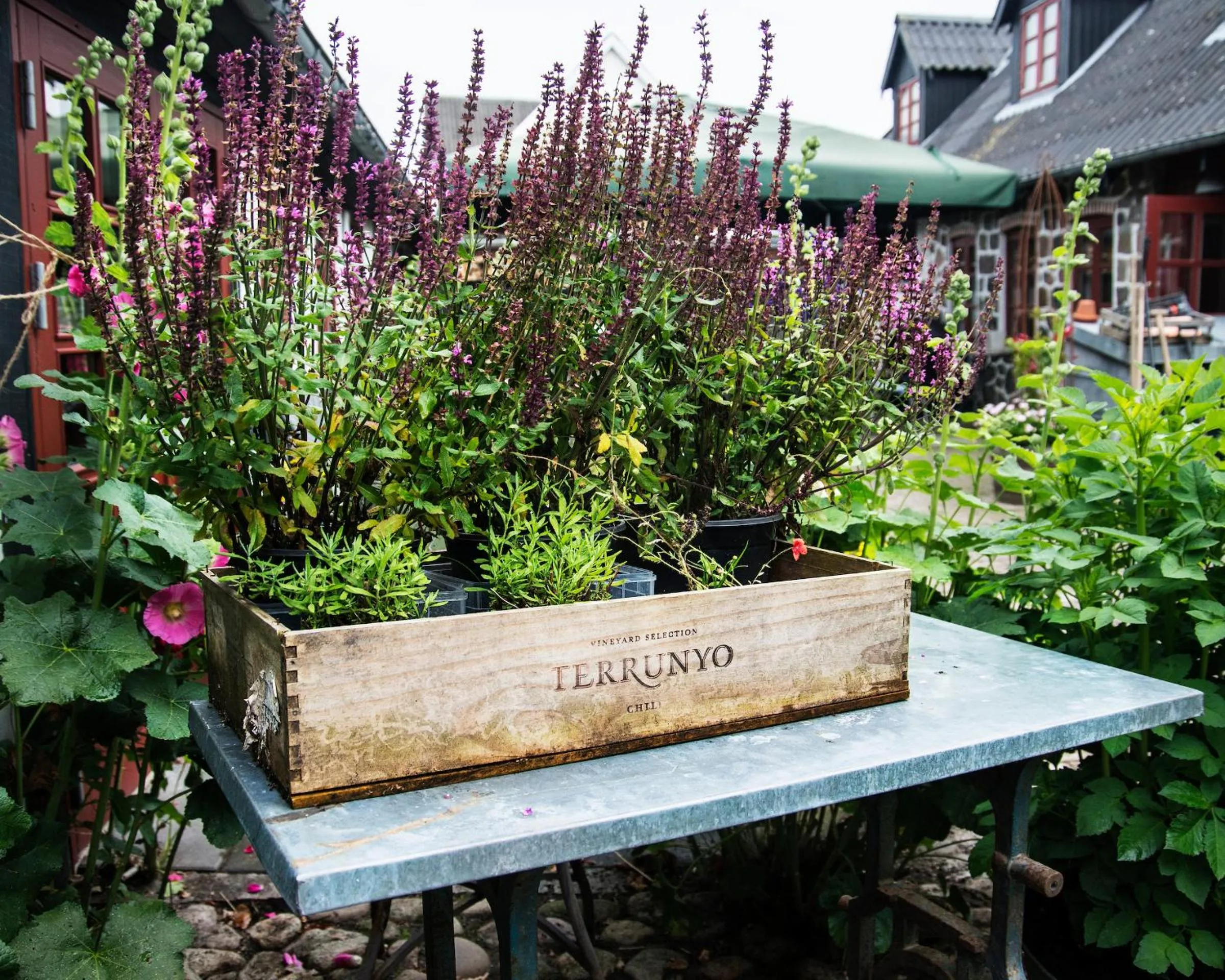 Grundfør bed and breakfast