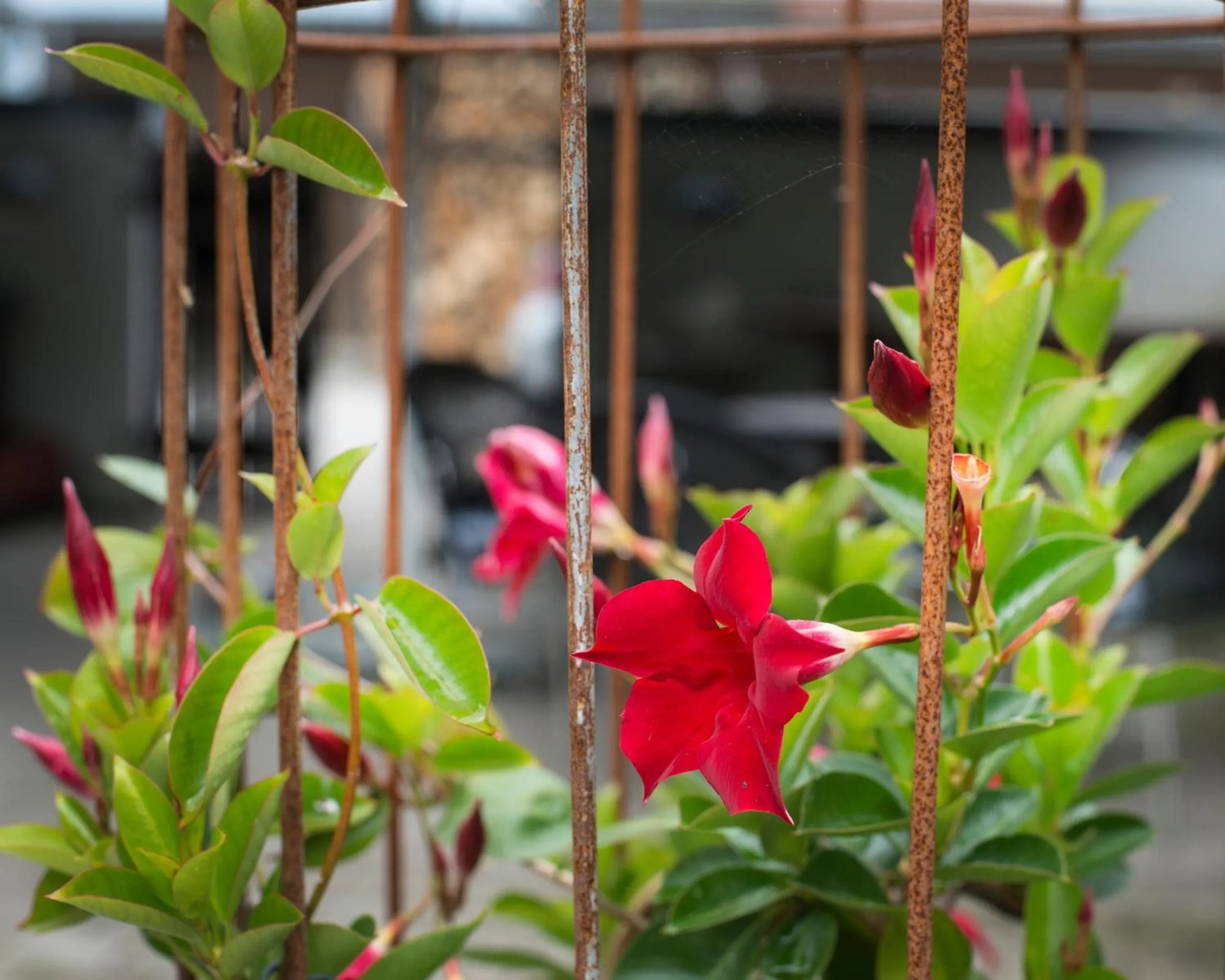 Grundfør bed and breakfast