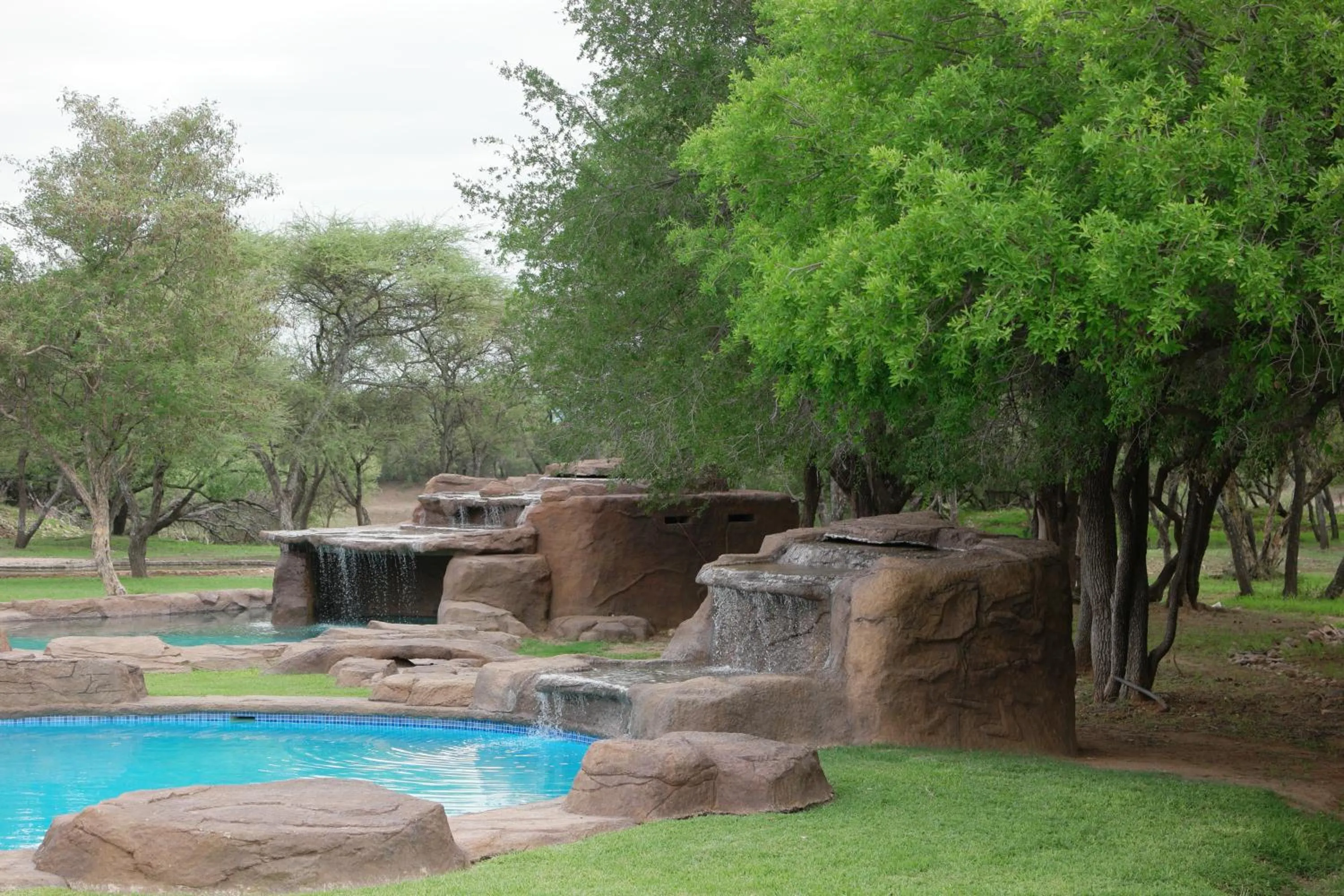 Swimming pool in Thabaledi Game Lodge