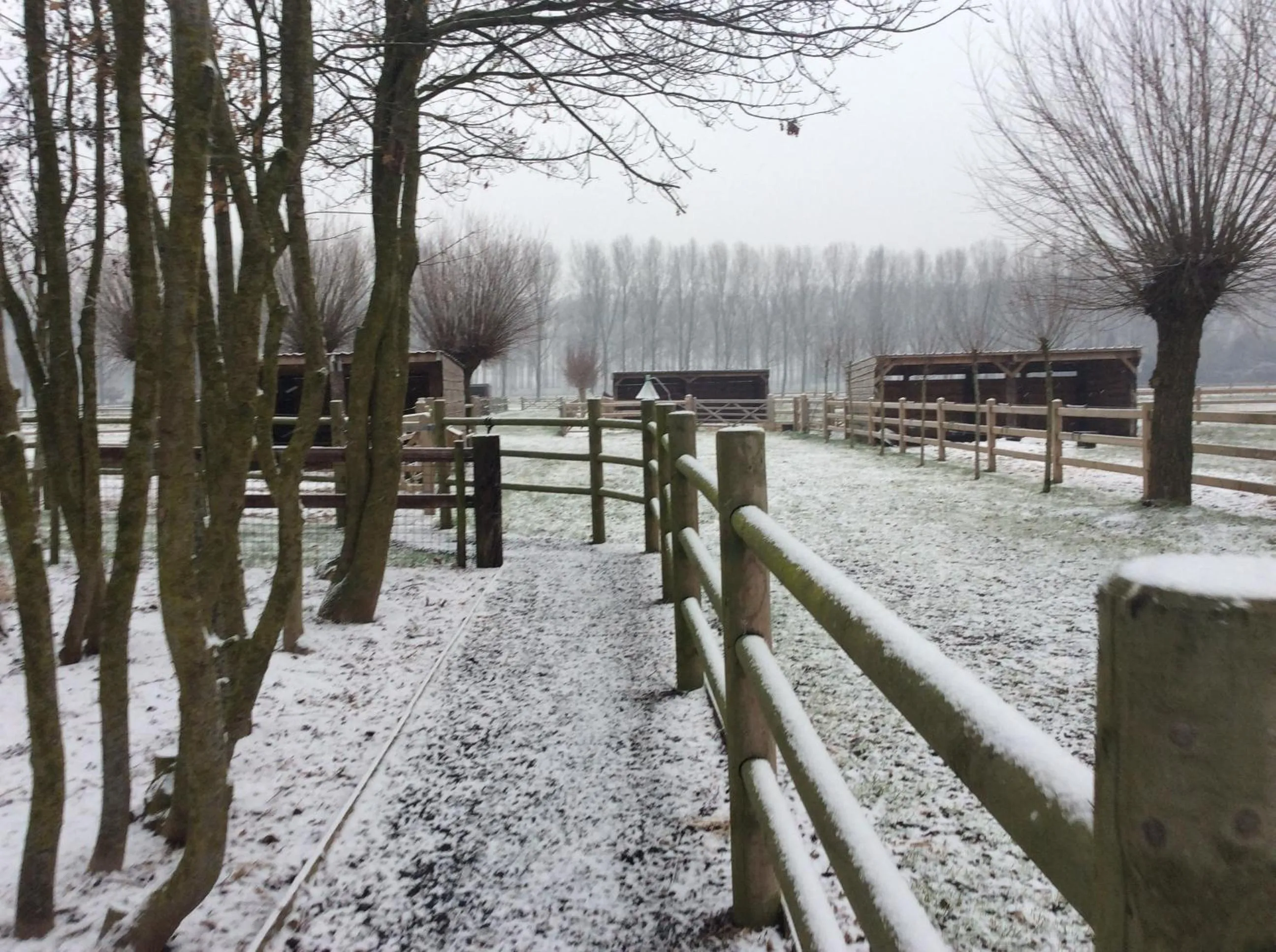 Property building in B&B Quarterhouse