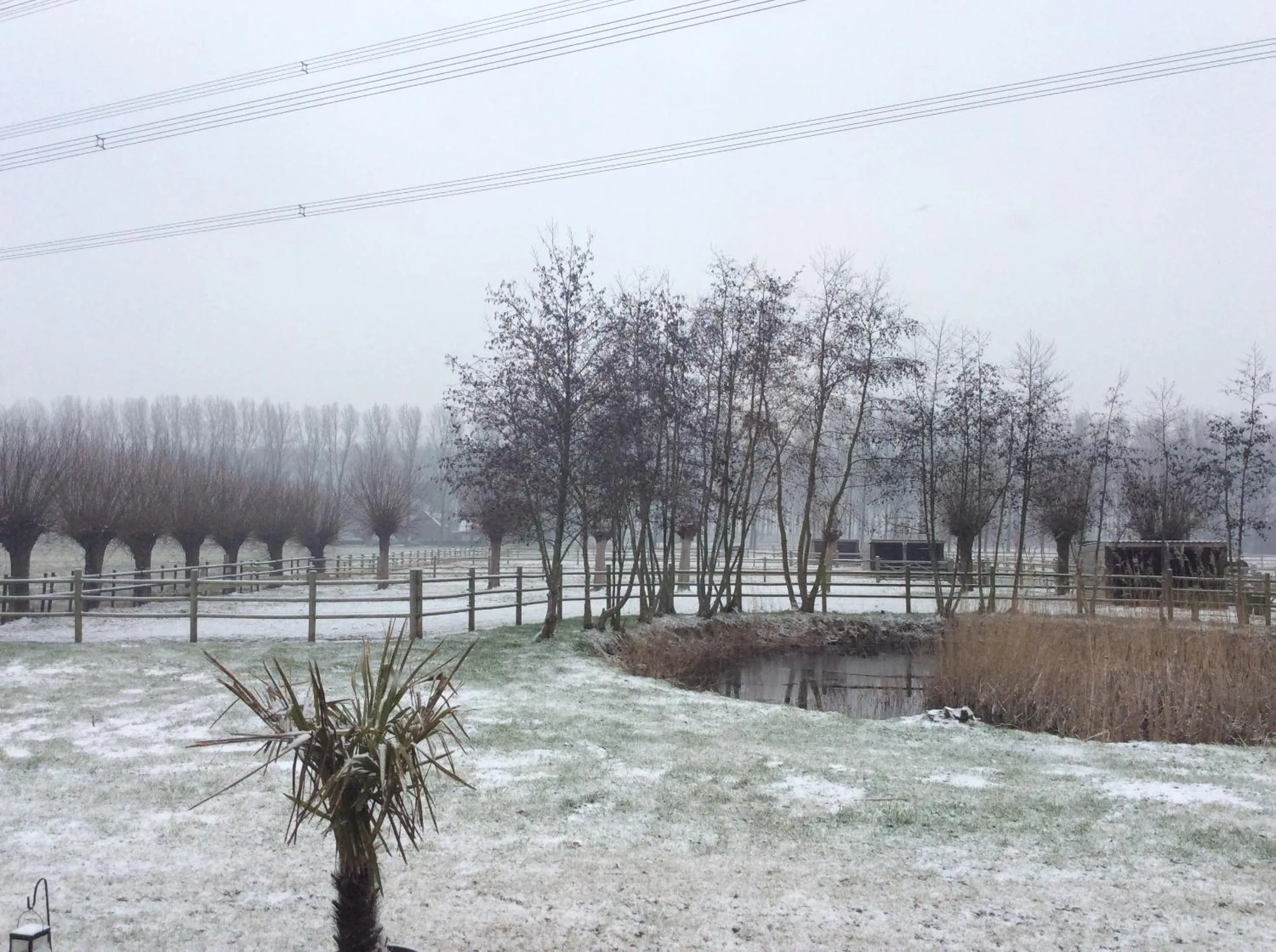 Property building in B&B Quarterhouse