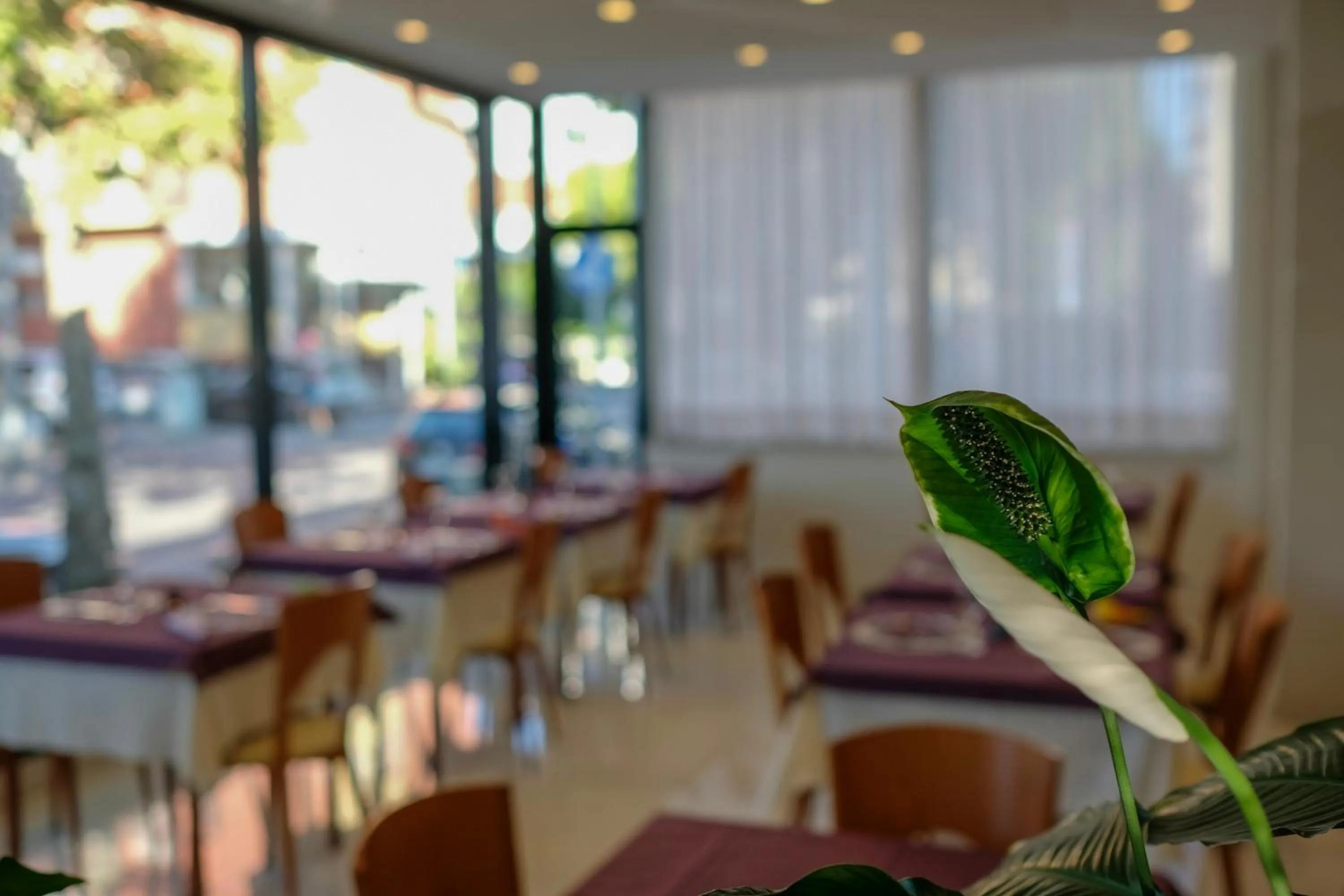 Food close-up in Hotel Astra