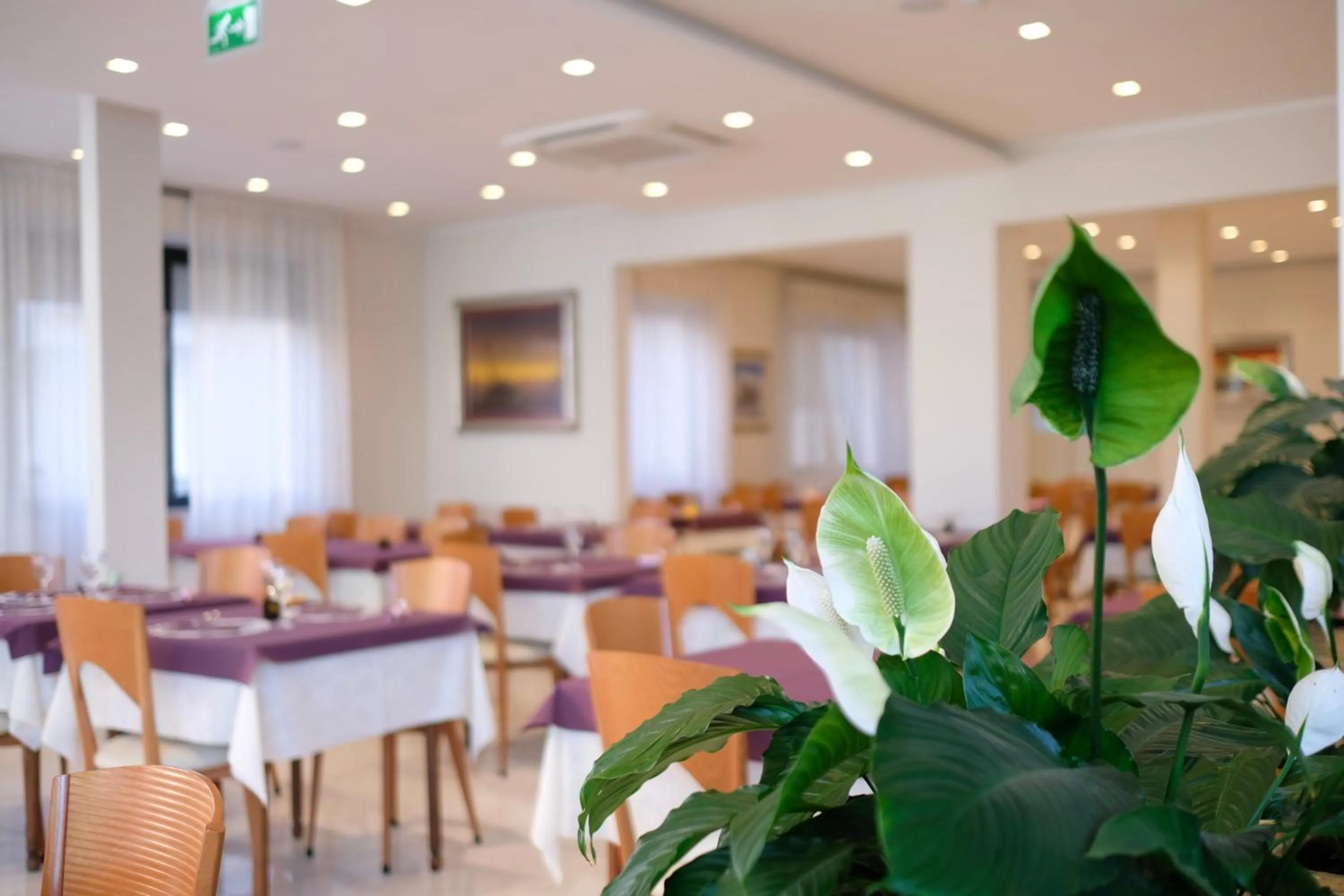Restaurant/places to eat in Hotel Astra