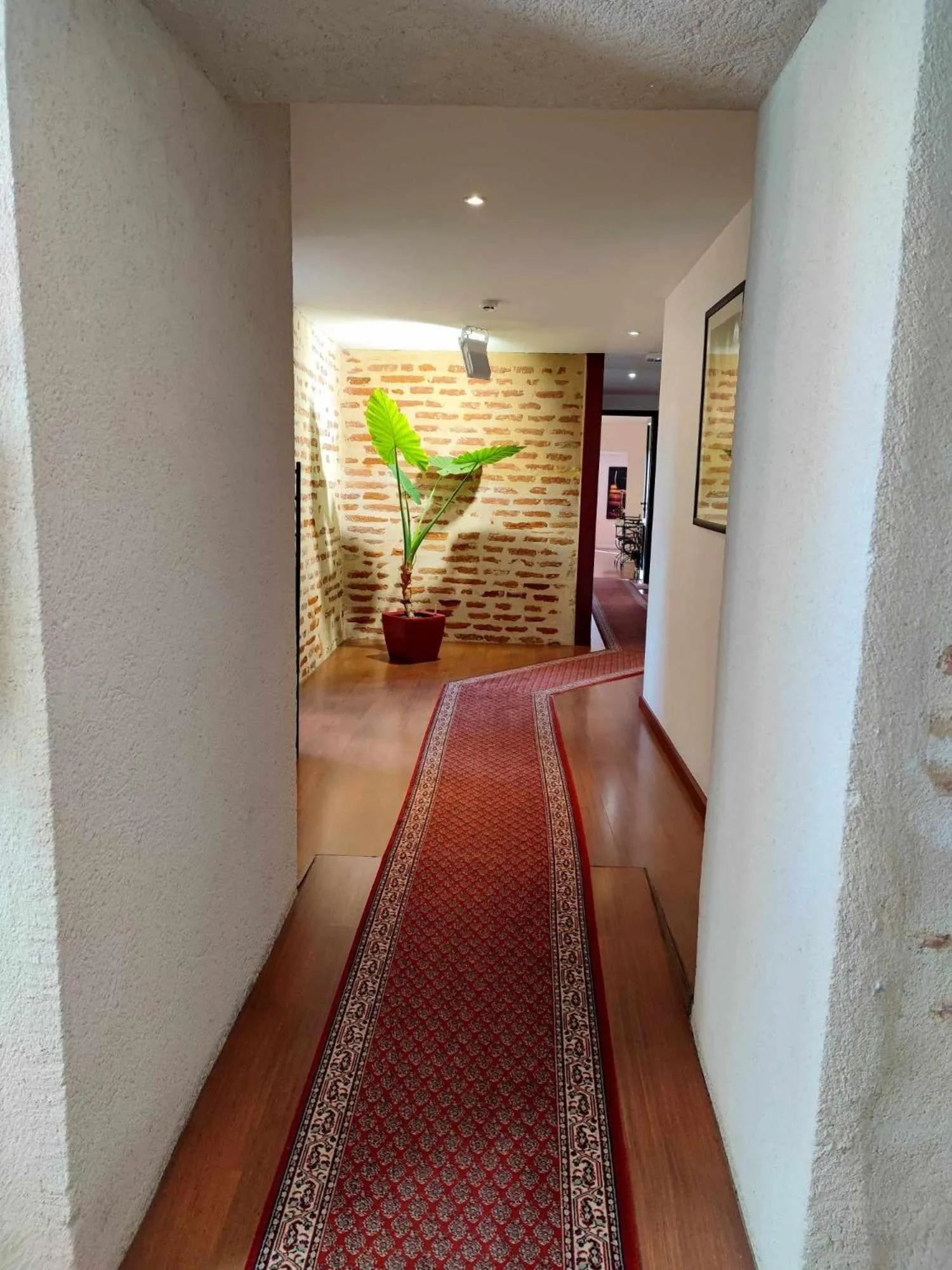 Property building in Hôtel Jean XXII