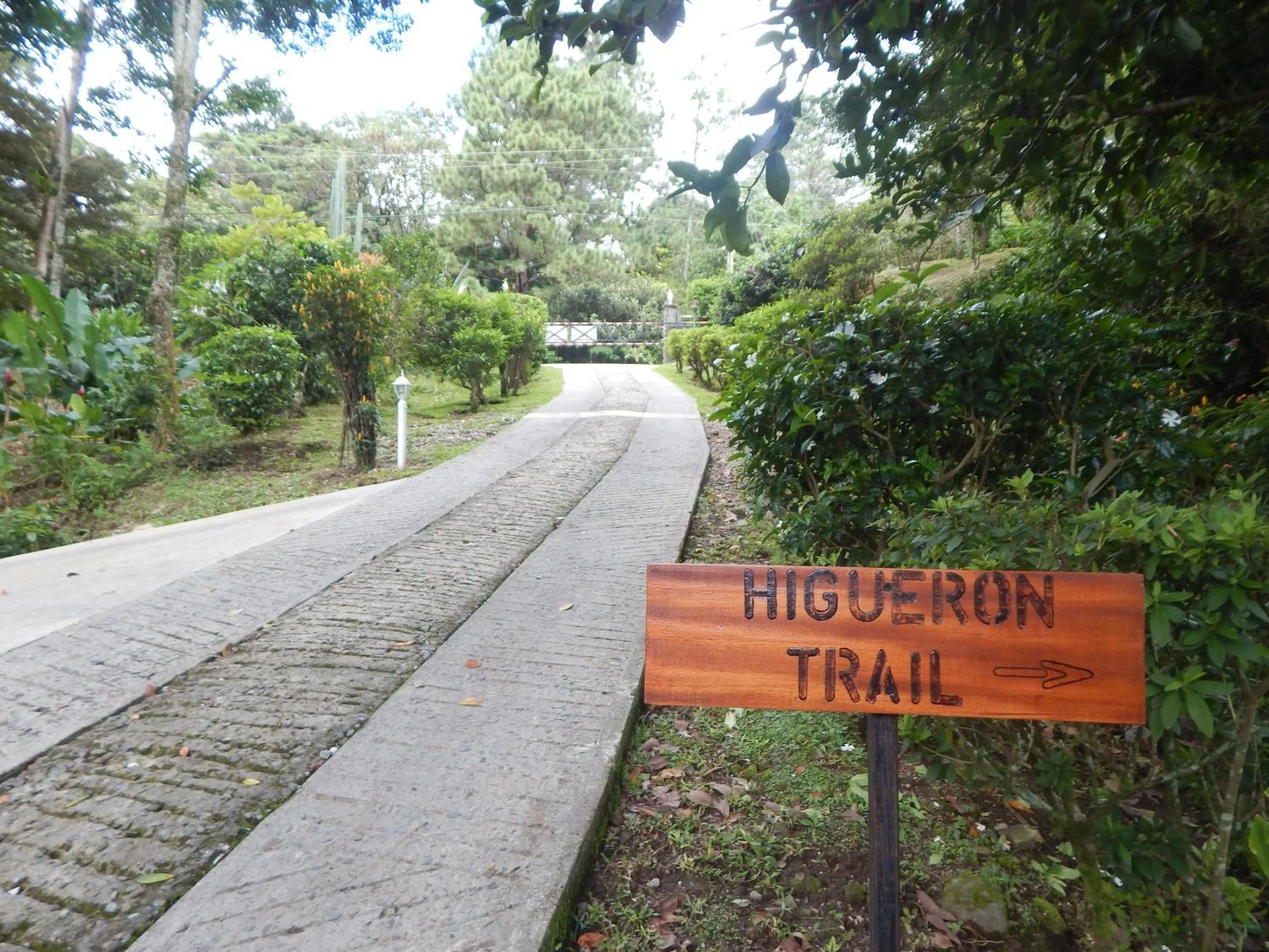 Activities in Coffee Estate Inn