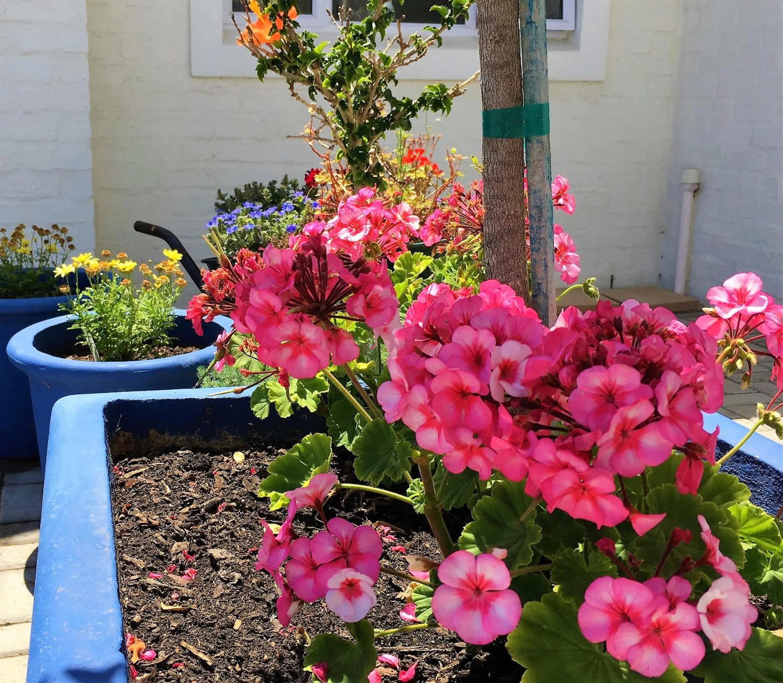 Decorative detail in The Gables Hermanus