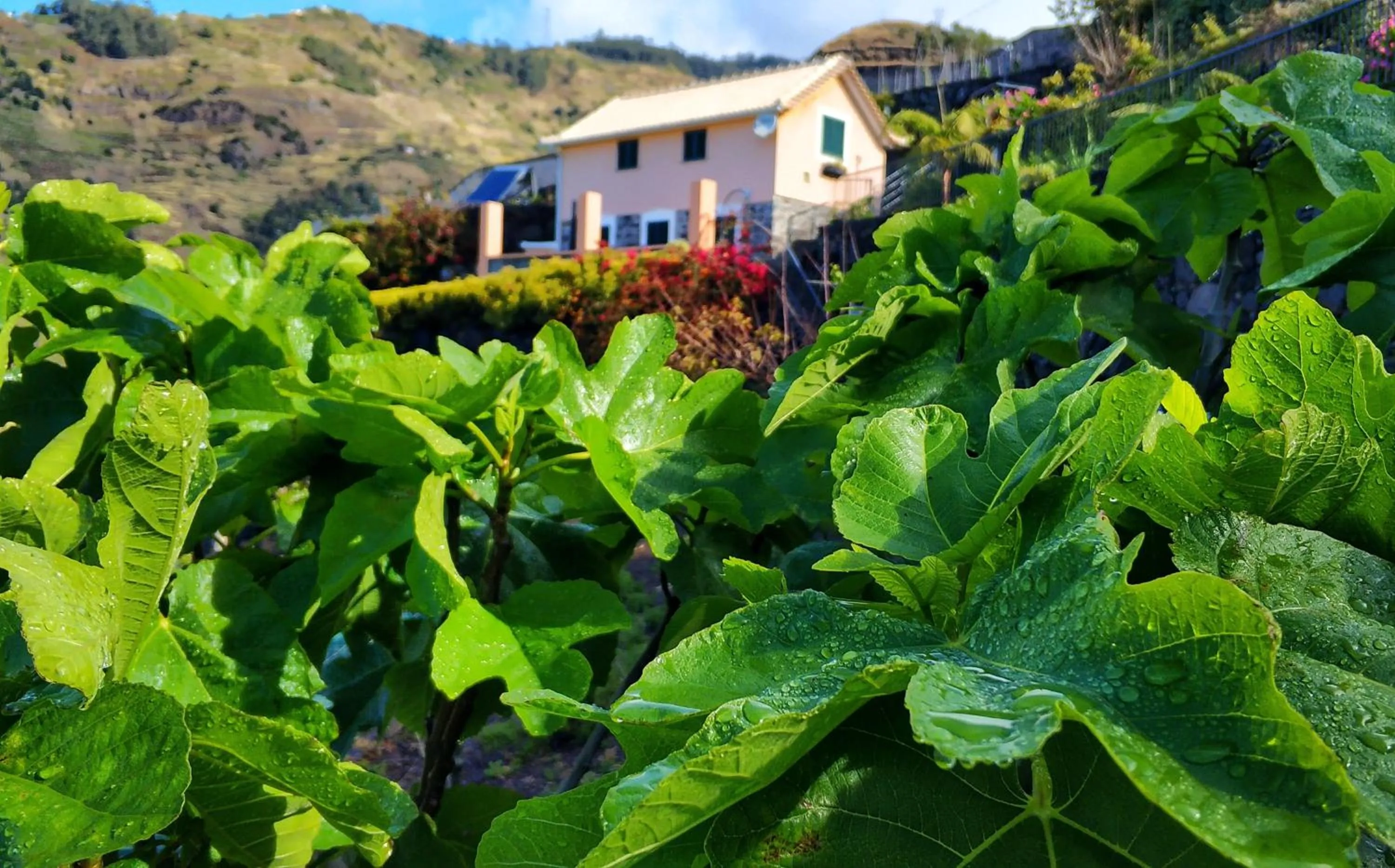Off site in Quinta Terezinha