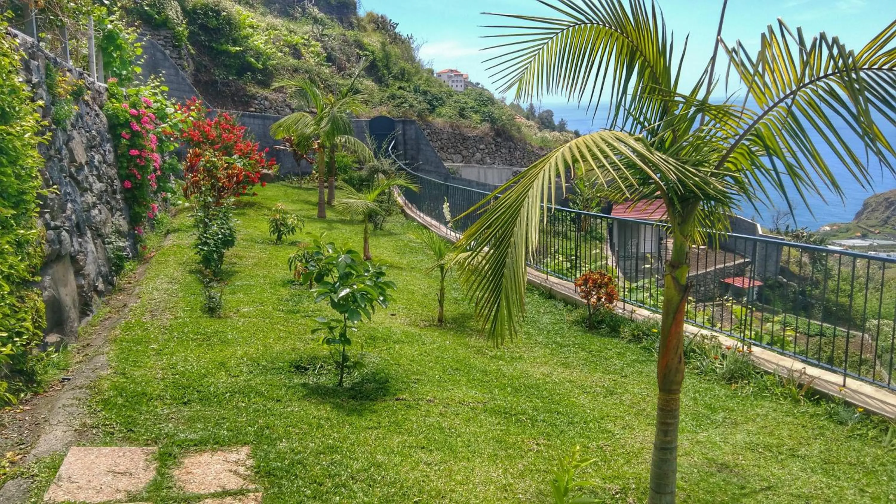Garden in Quinta Terezinha