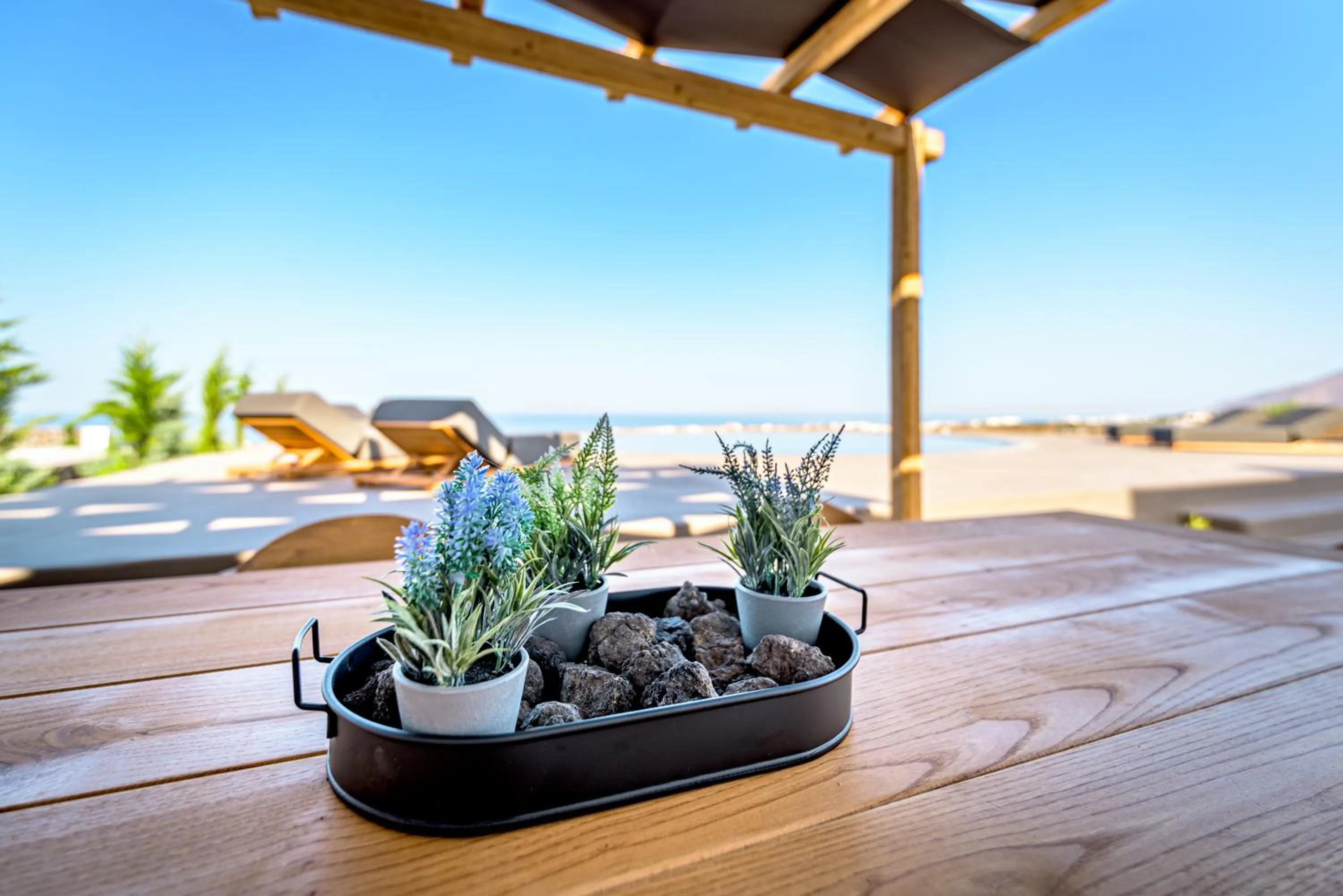 Food and drinks in Saint Apostles Villas