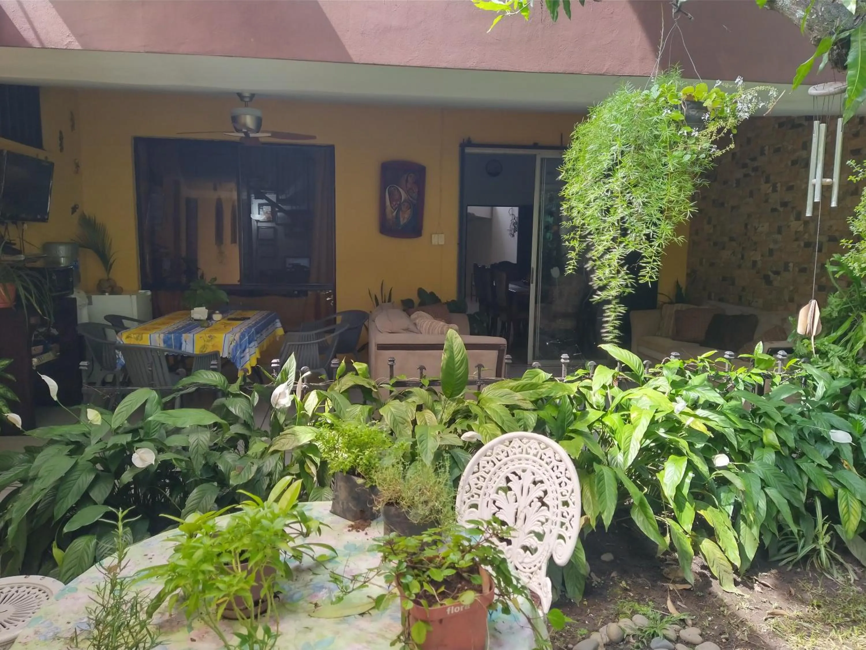 Restaurant/places to eat in Hotel Antiguo