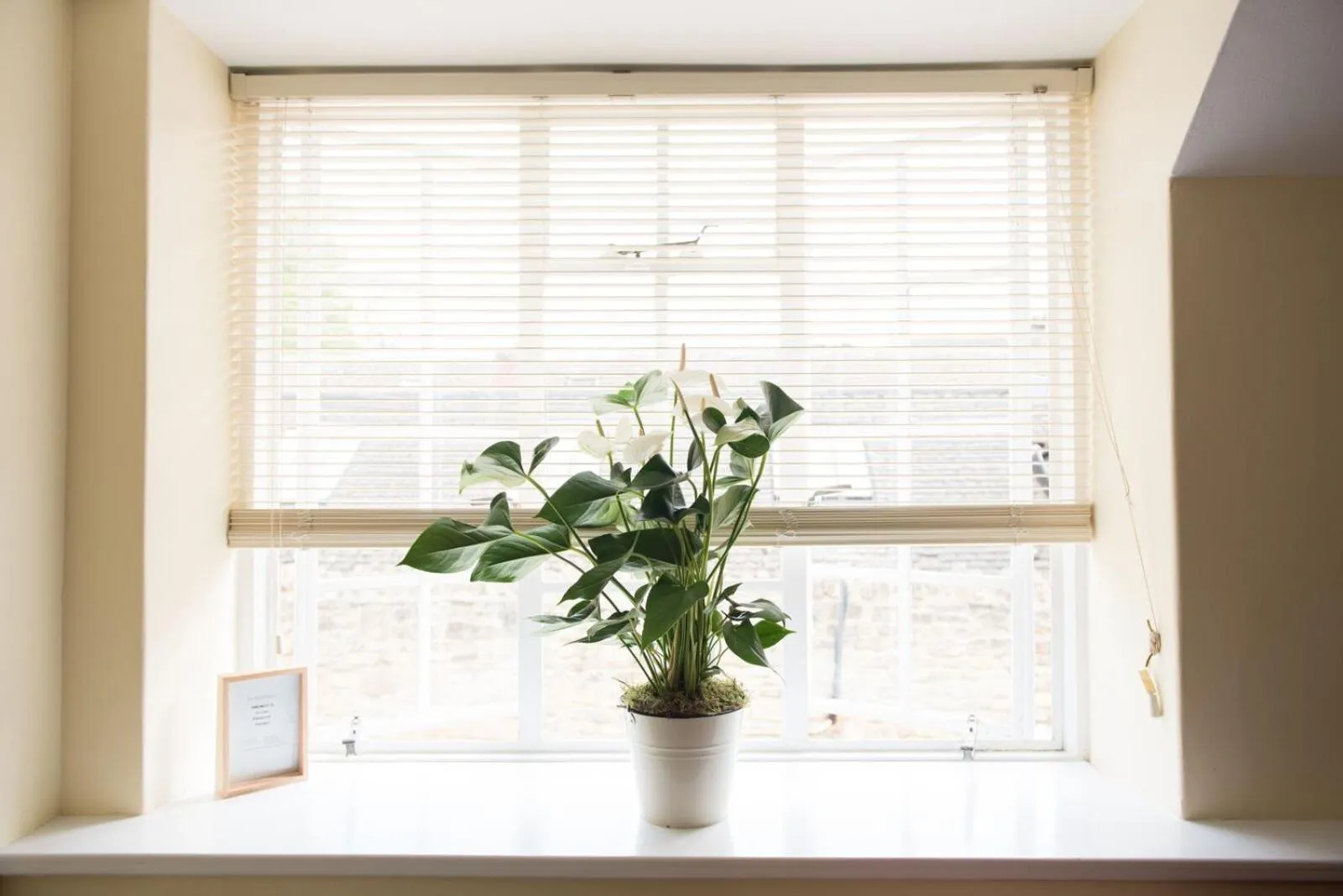 The Lodge at Broadway