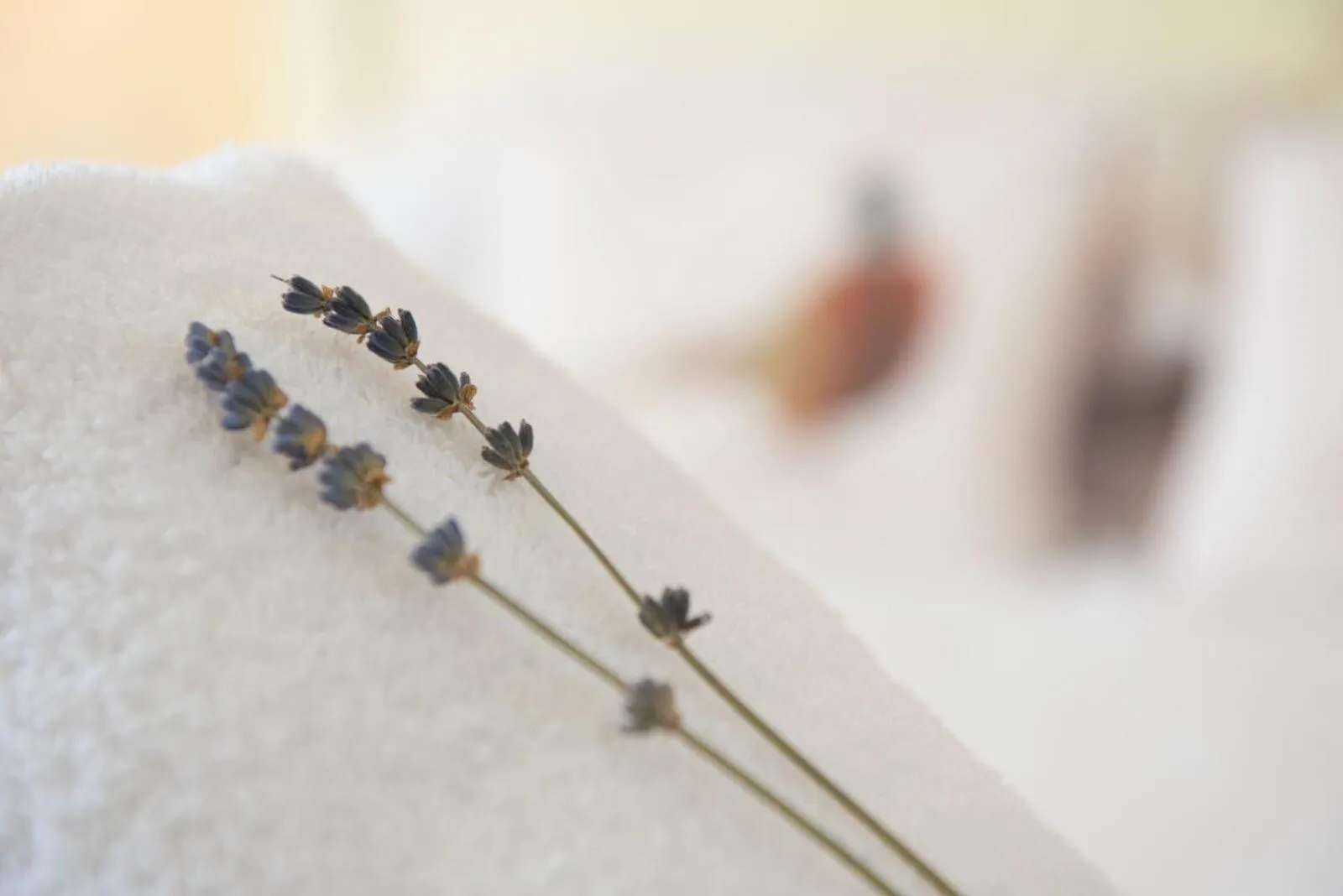 The Lodge at Broadway