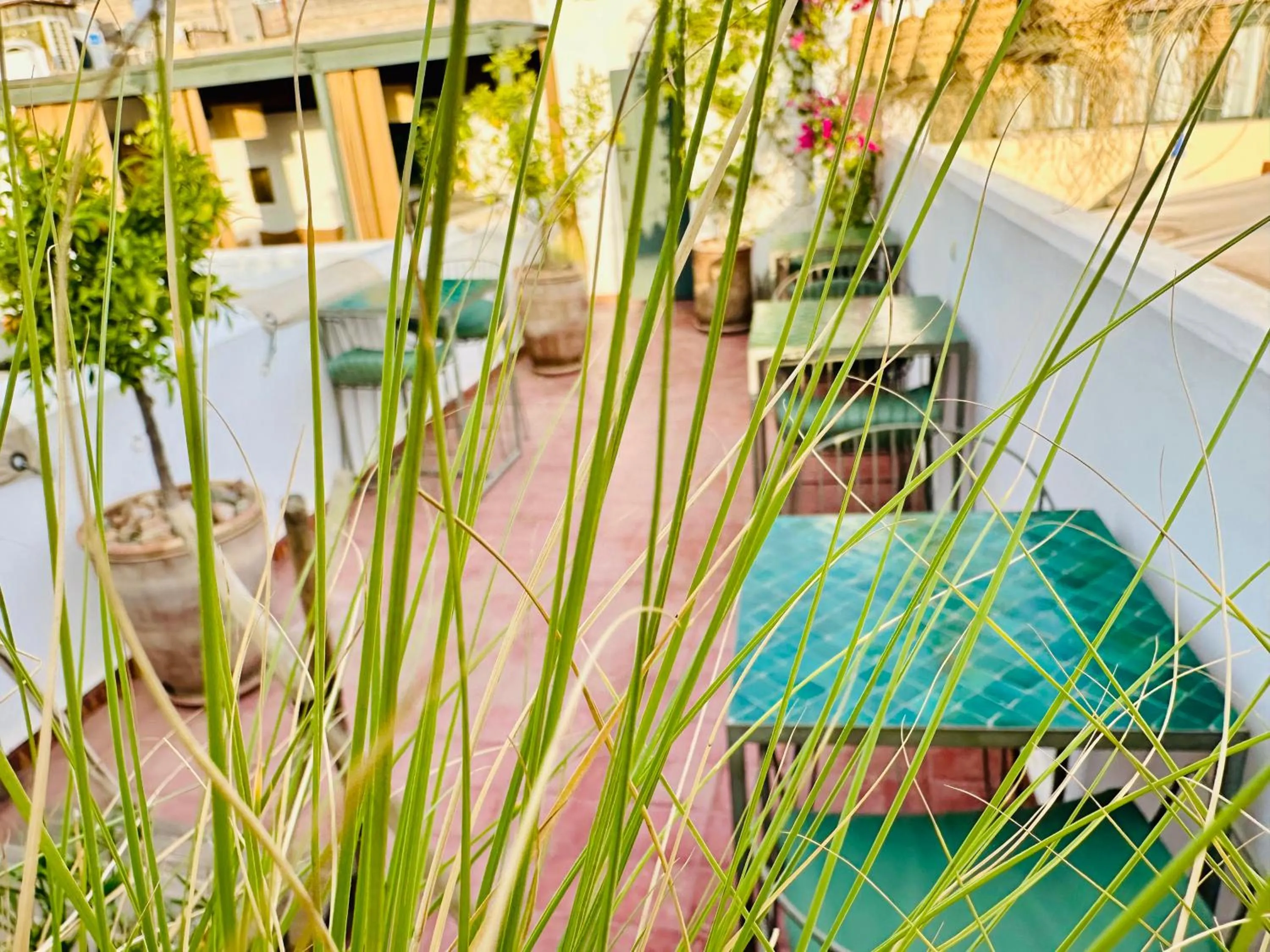 Patio in Riad Jardin Des Sens & Spa