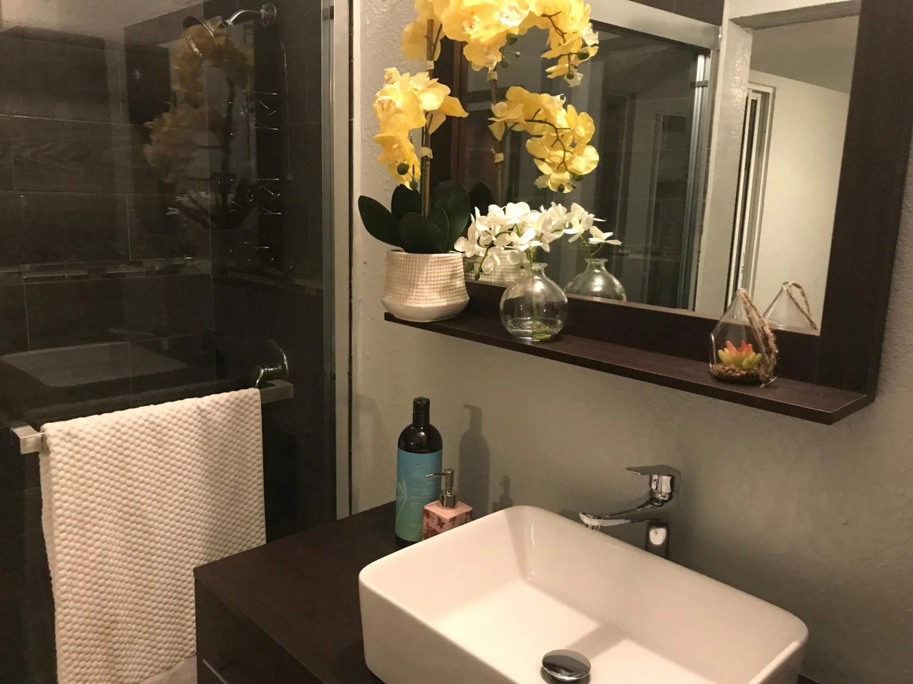 Abacus Jamaica the Zana Suites