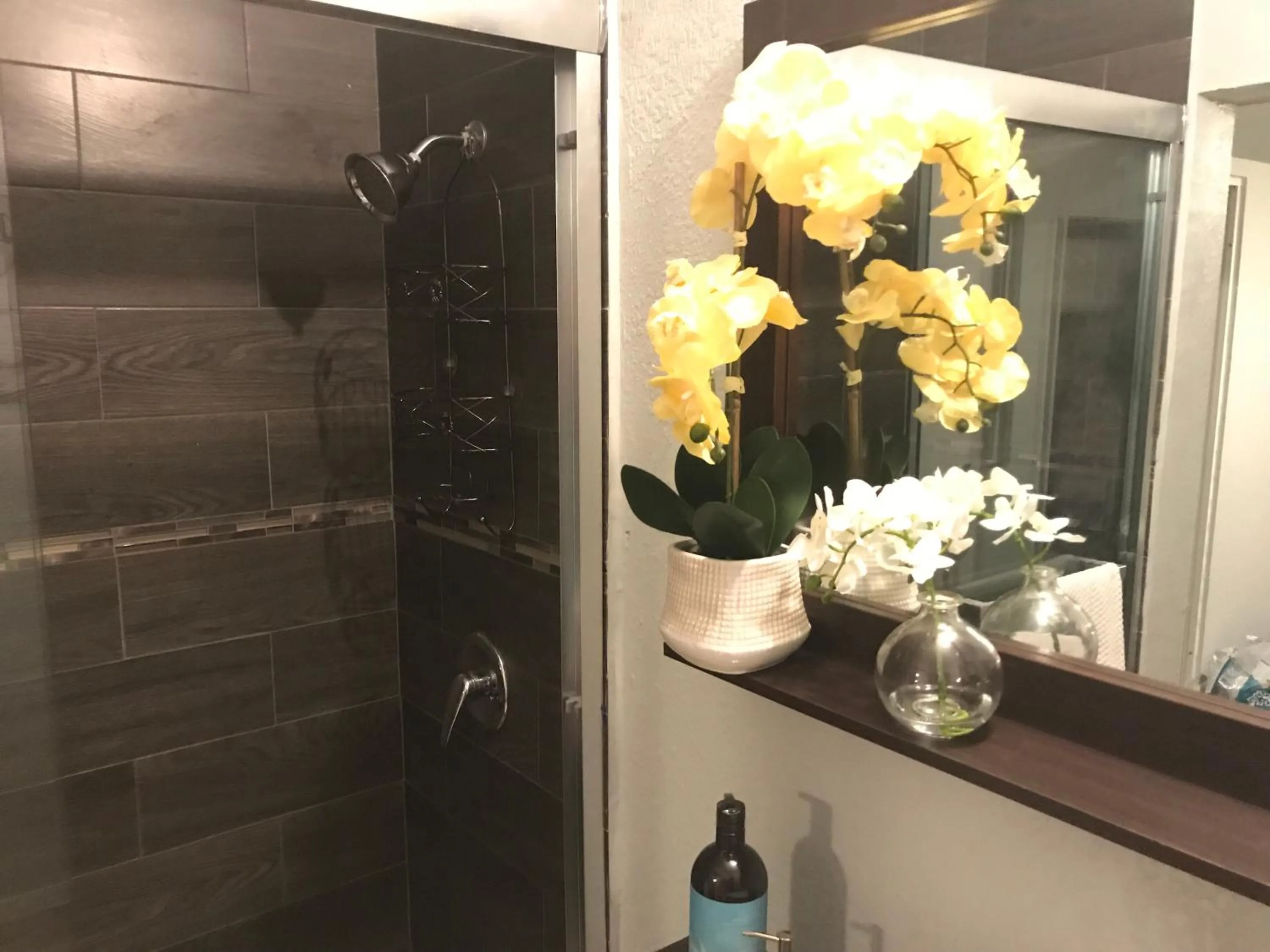 Abacus Jamaica the Zana Suites