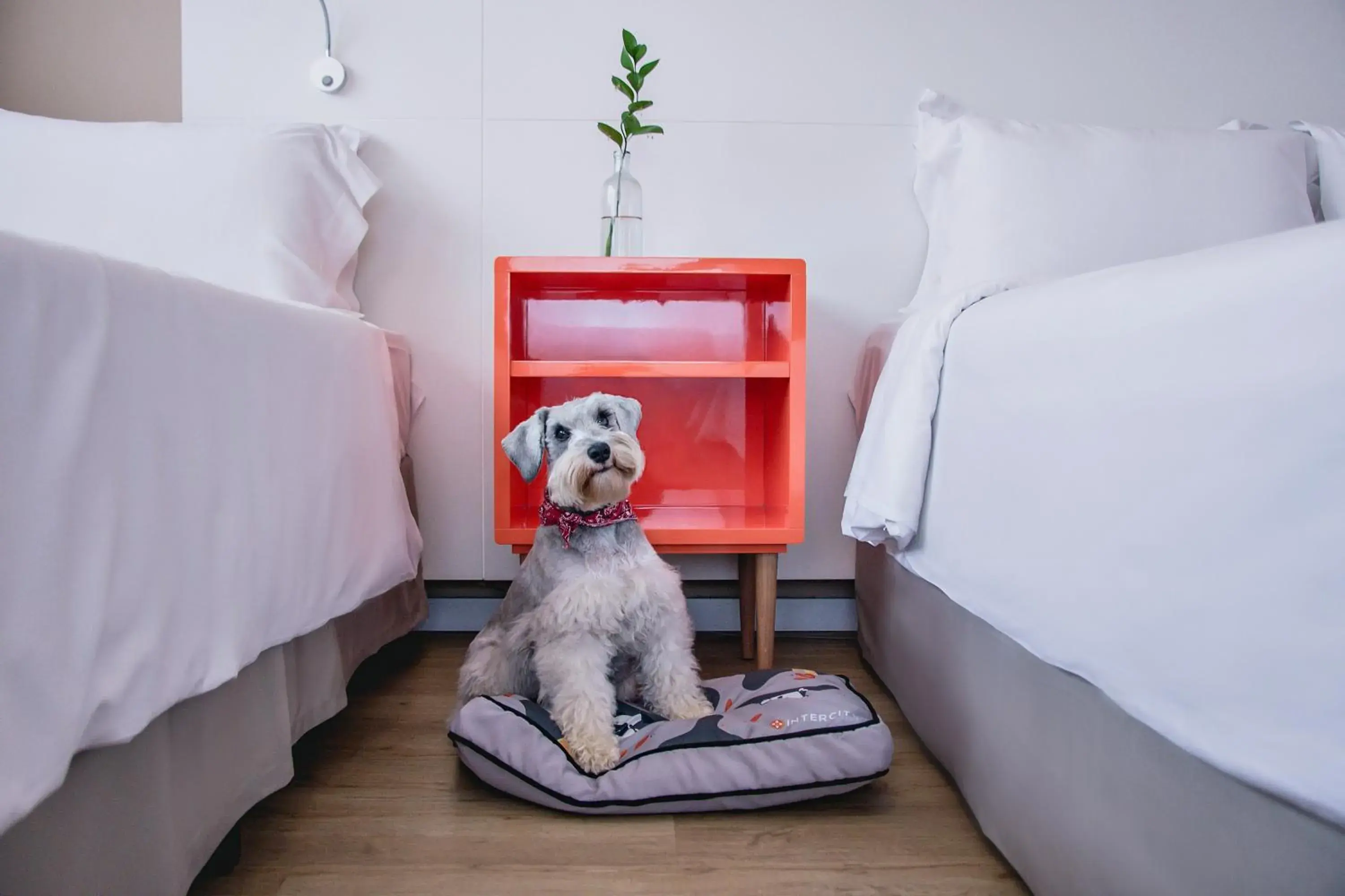 Pets, Bed in Intercity Curitiba Centro Cívico Pets, Bed in Intercity Curitiba Centro Cívico