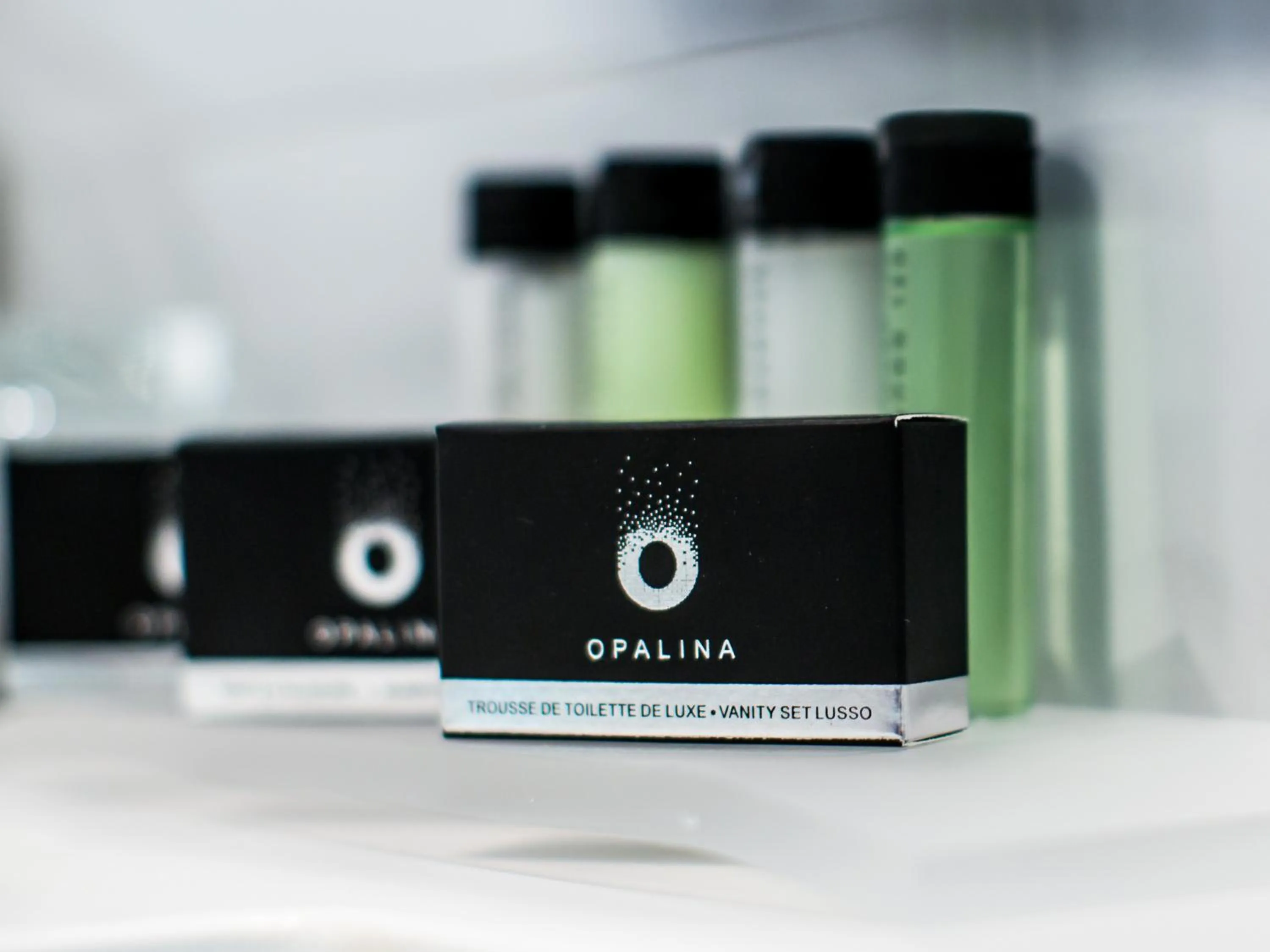 Bathroom in OTL Gouverneur Sherbrooke