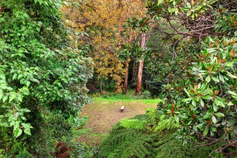 Garden in Wildwood Lodge