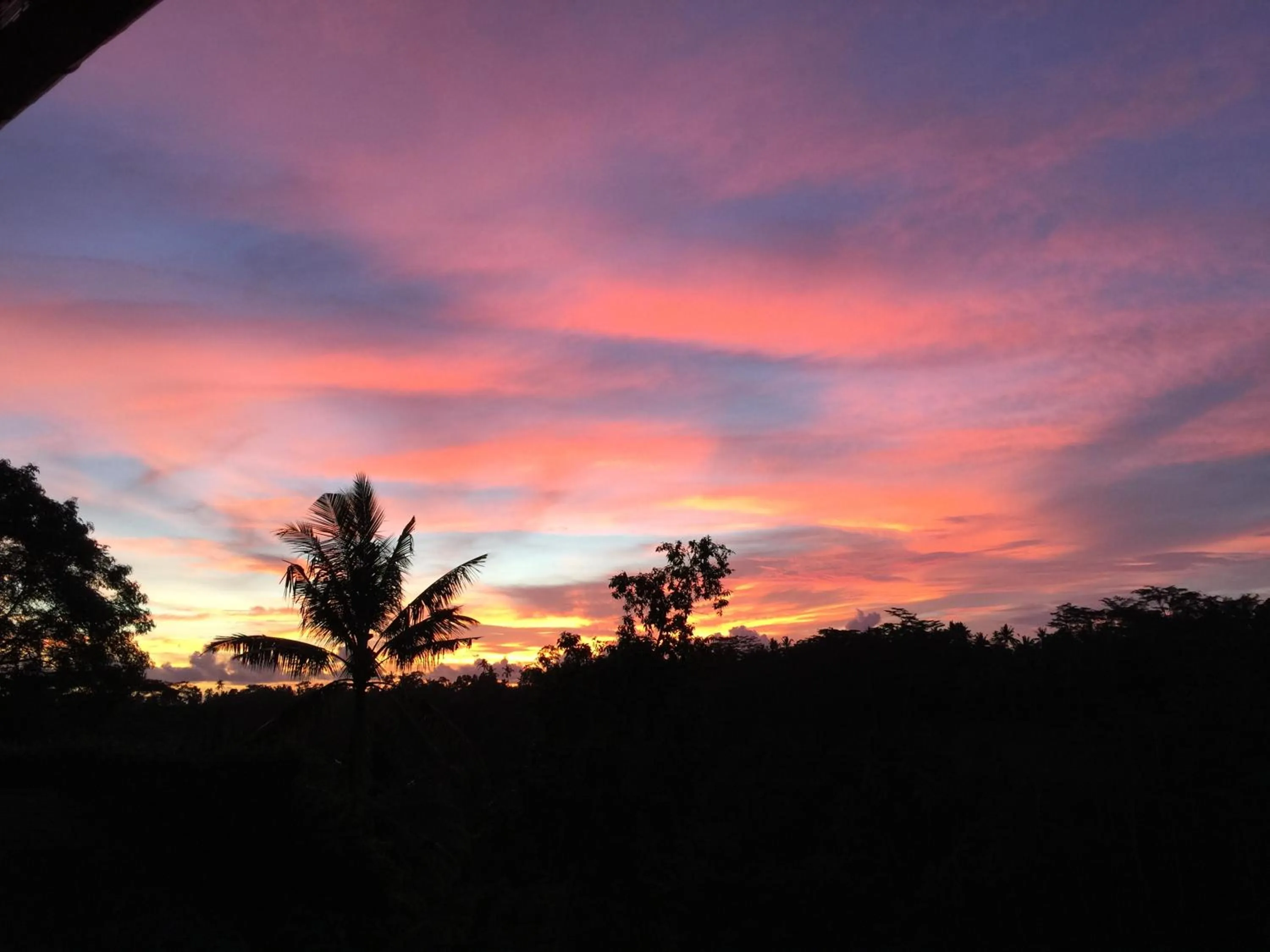View (from property/room) in Ayuterra Resort