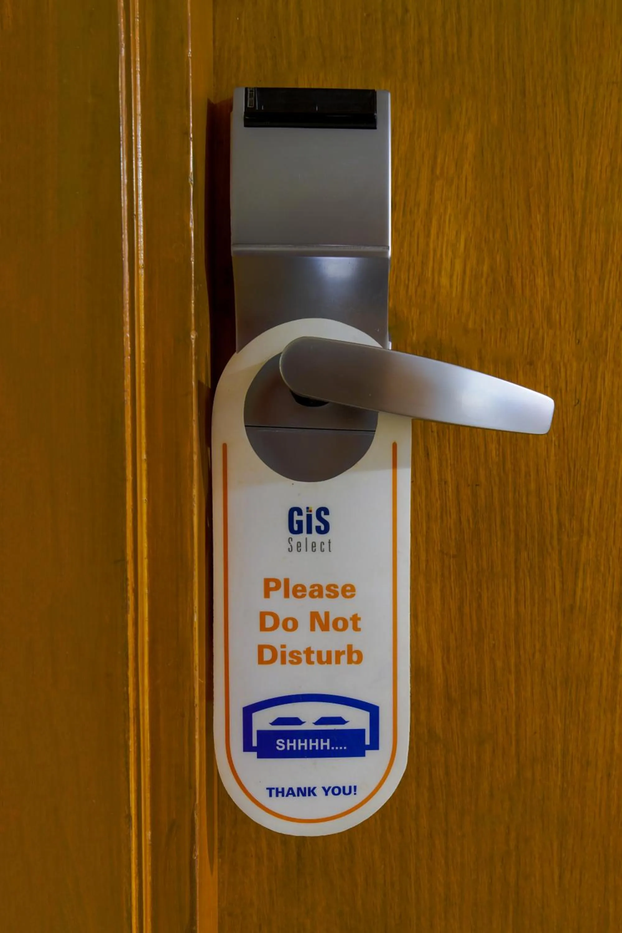 Gis Select Banjara Hill