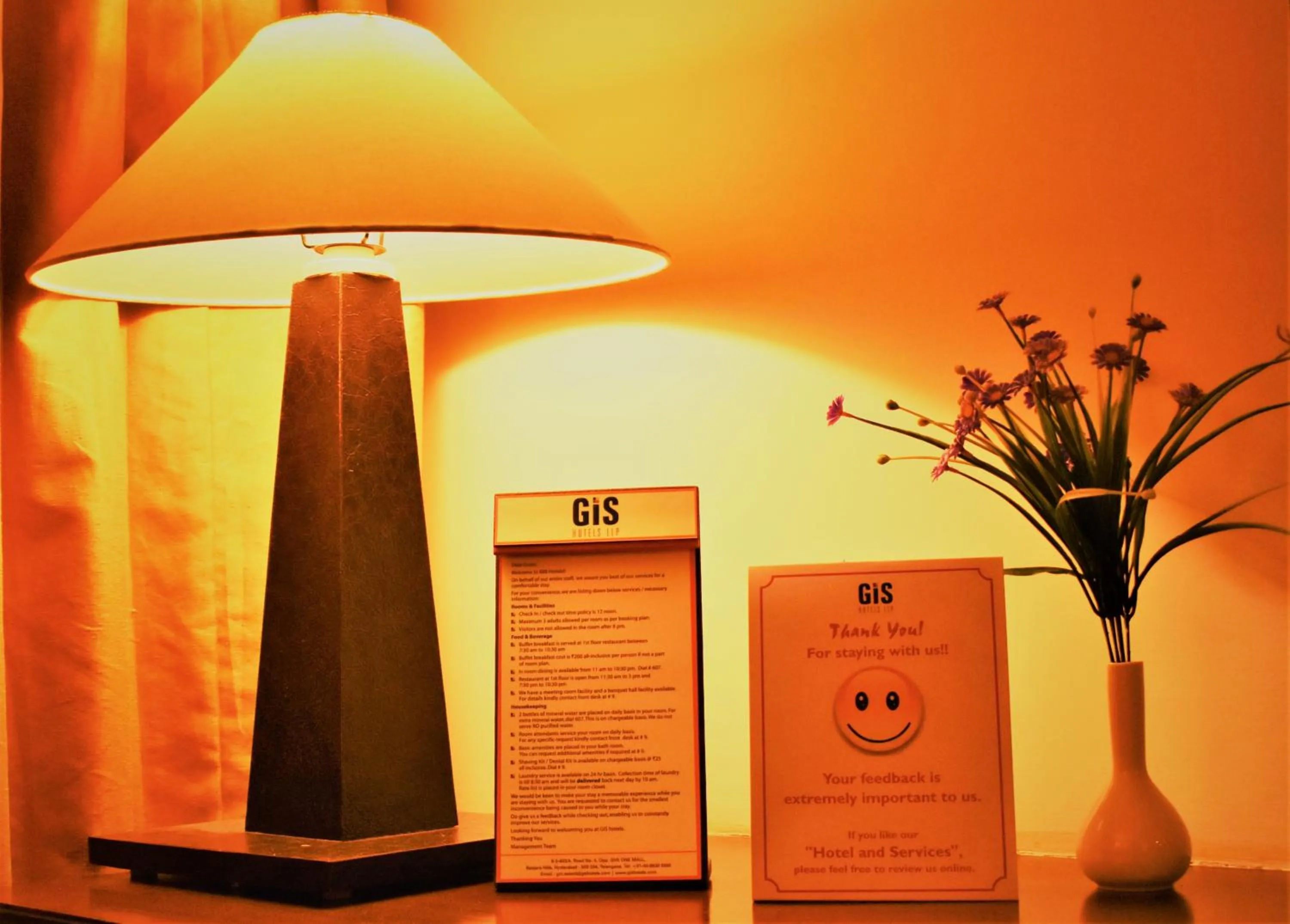 Gis Select Banjara Hill