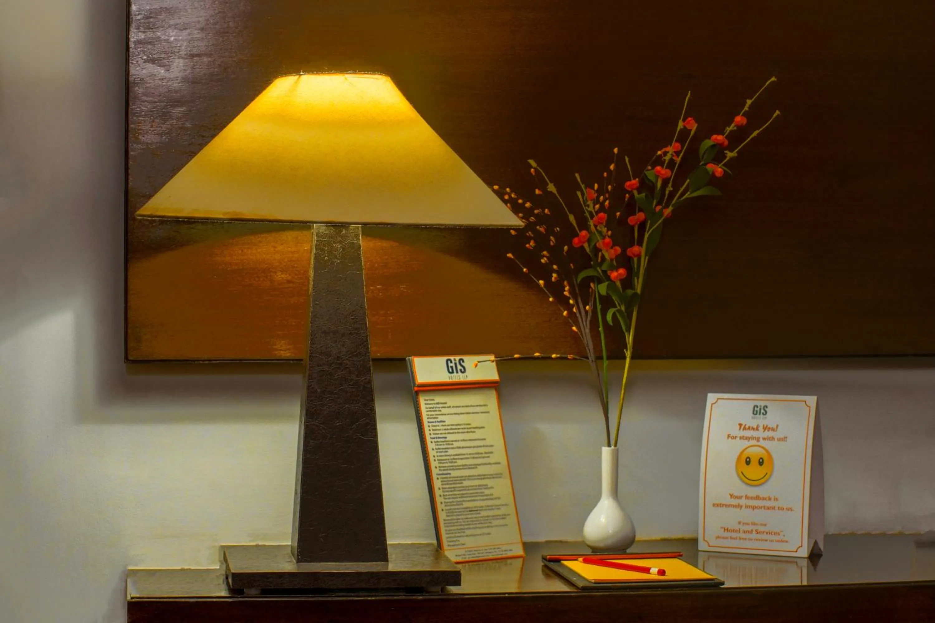 Gis Select Banjara Hill