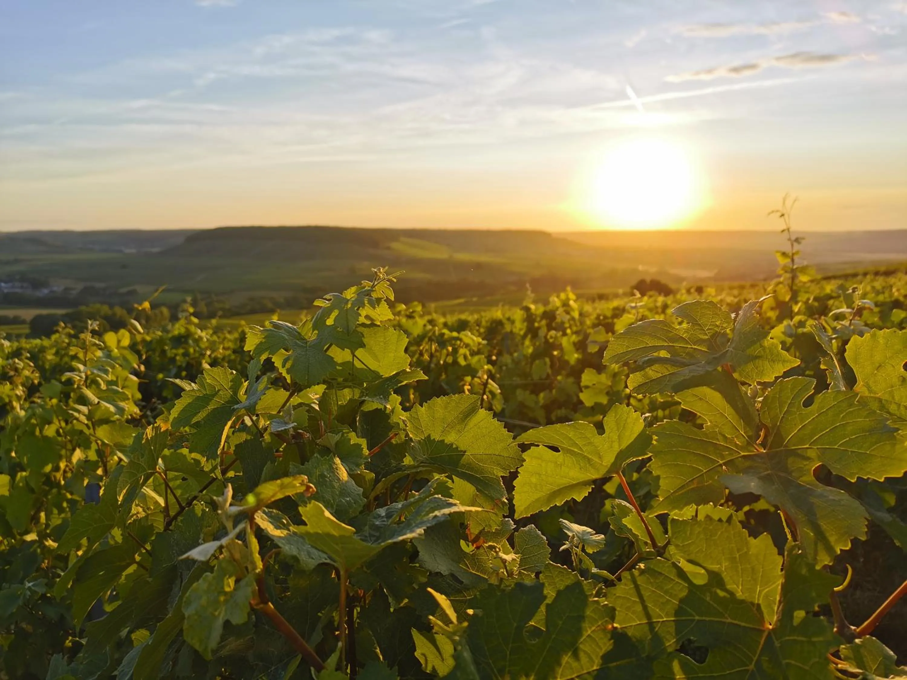 Natural landscape in Briqueterie Champagne, A Beauvallon Hotel & Spa