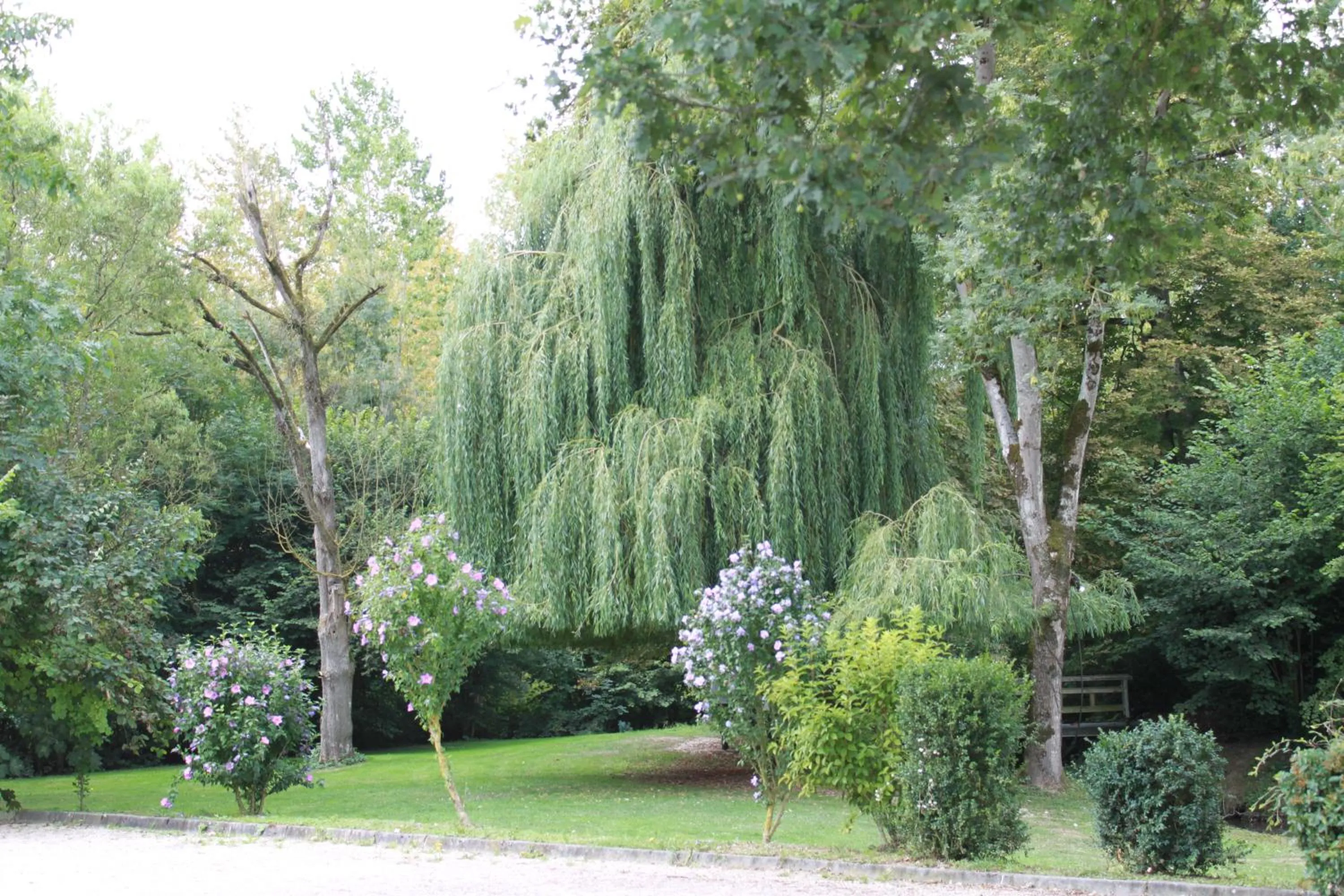 Garden in Le Clos De Mutigny