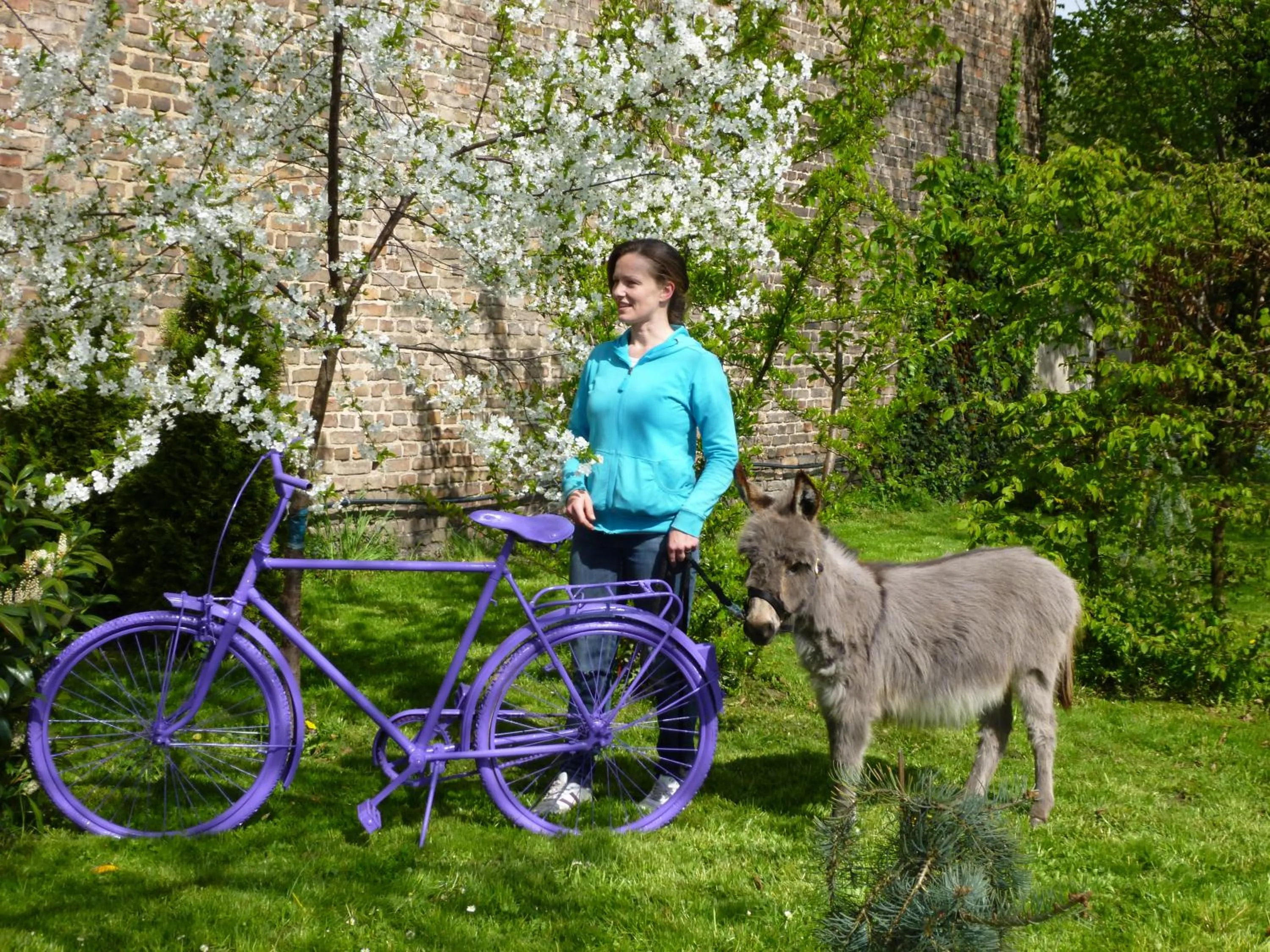 Animals in Garni Hotel Lavendelhof