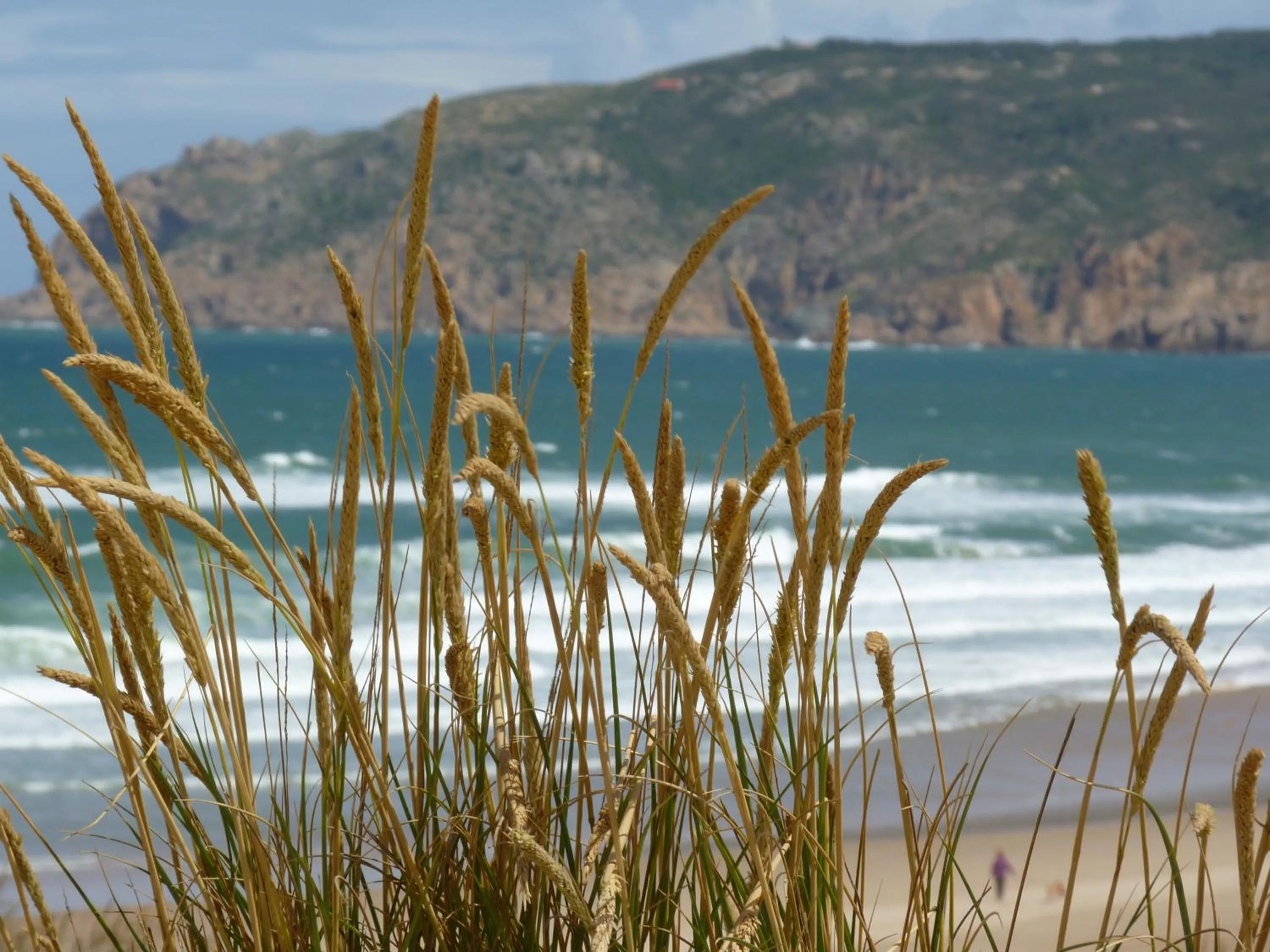 Restaurant/places to eat in Quinta do Cabo Guesthouse