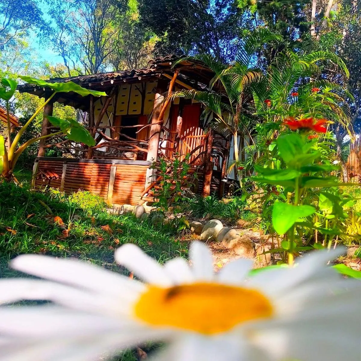 Garden in Hotel La Casa de Francois
