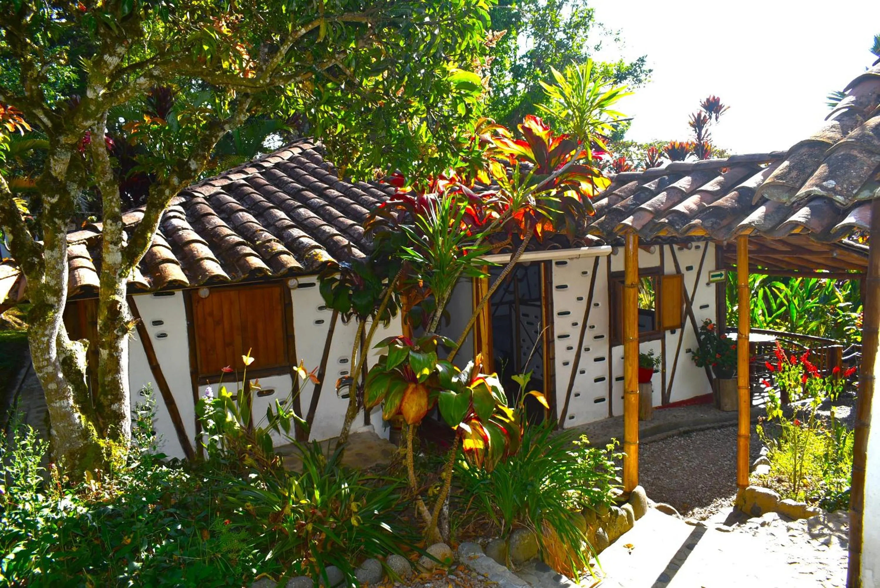 Garden view in Hotel La Casa de Francois