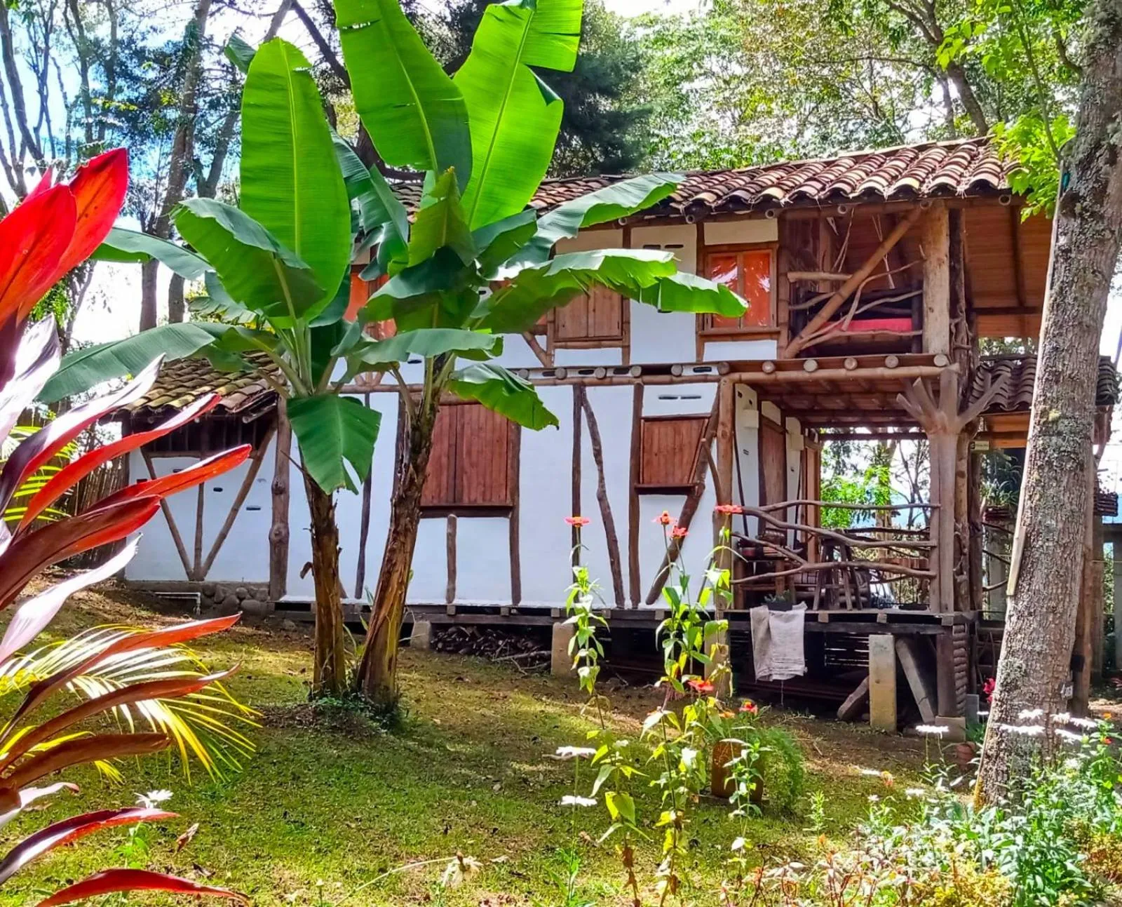 Garden view in Hotel La Casa de Francois
