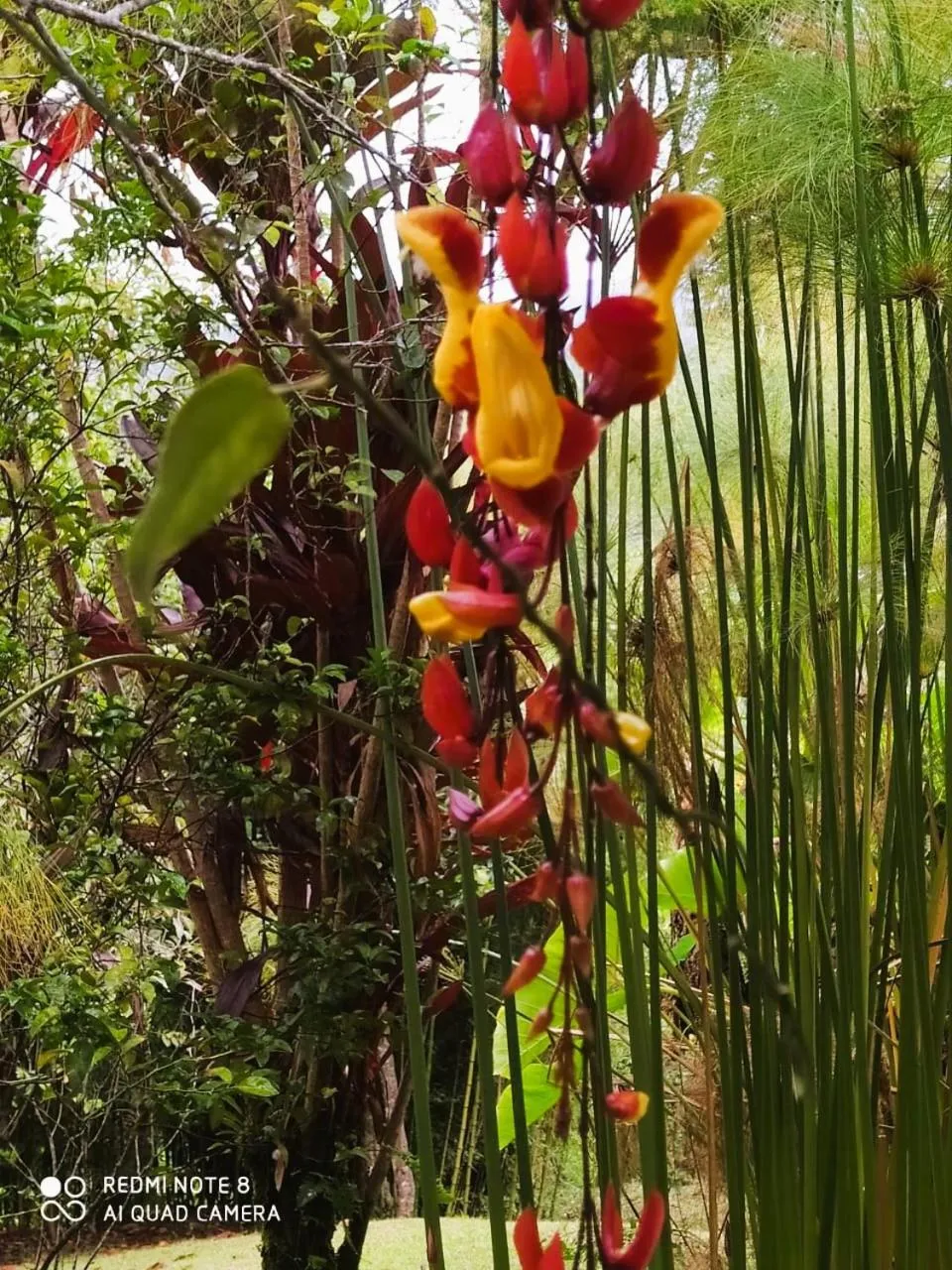 Spring in Hotel La Casa de Francois