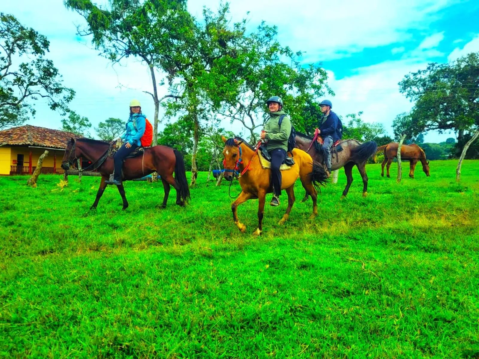 Horse-riding in Hotel La Casa de Francois