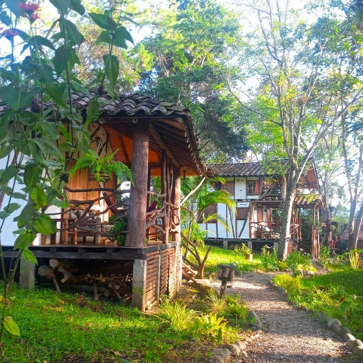 Garden in Hotel La Casa de Francois