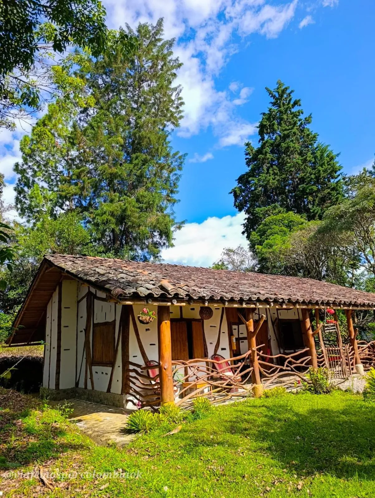 Garden view in Hotel La Casa de Francois