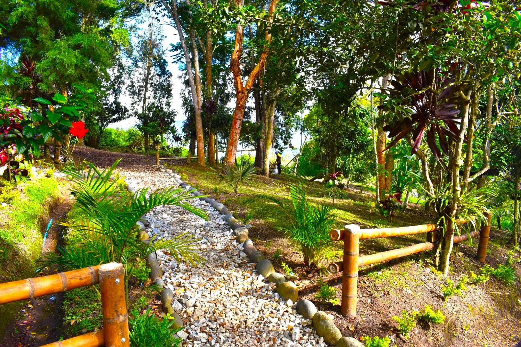 Garden in Hotel La Casa de Francois