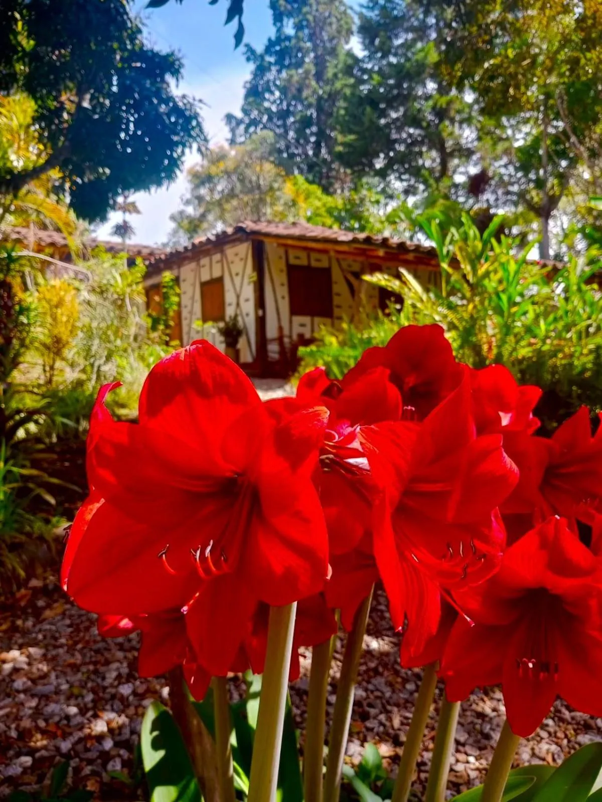Spring in Hotel La Casa de Francois