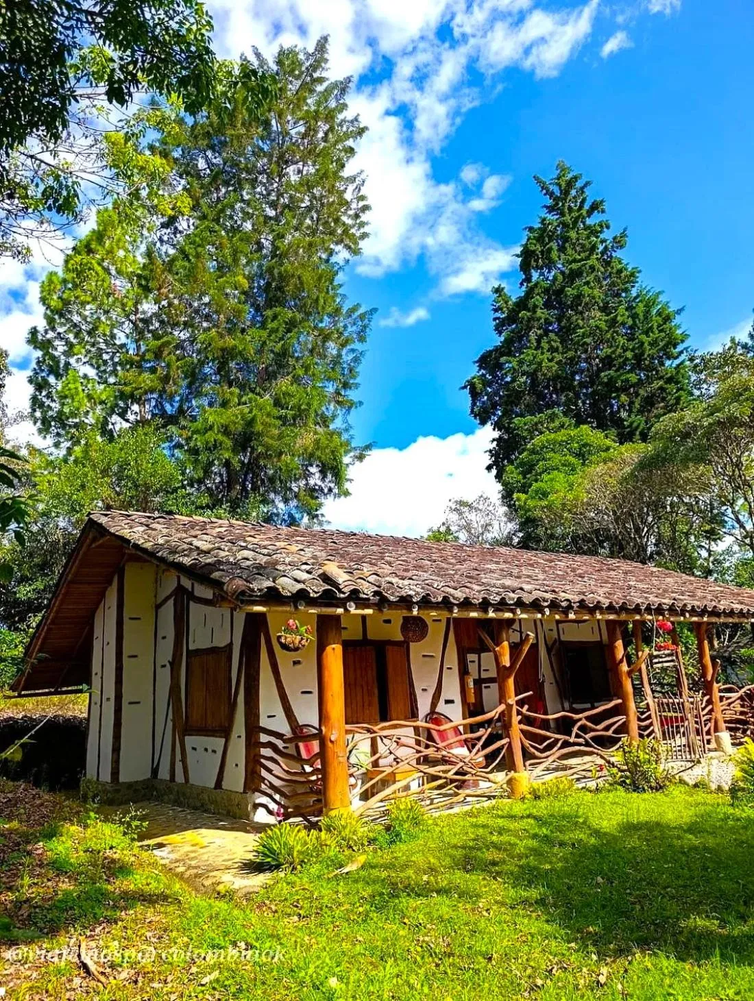 Garden view in Hotel La Casa de Francois