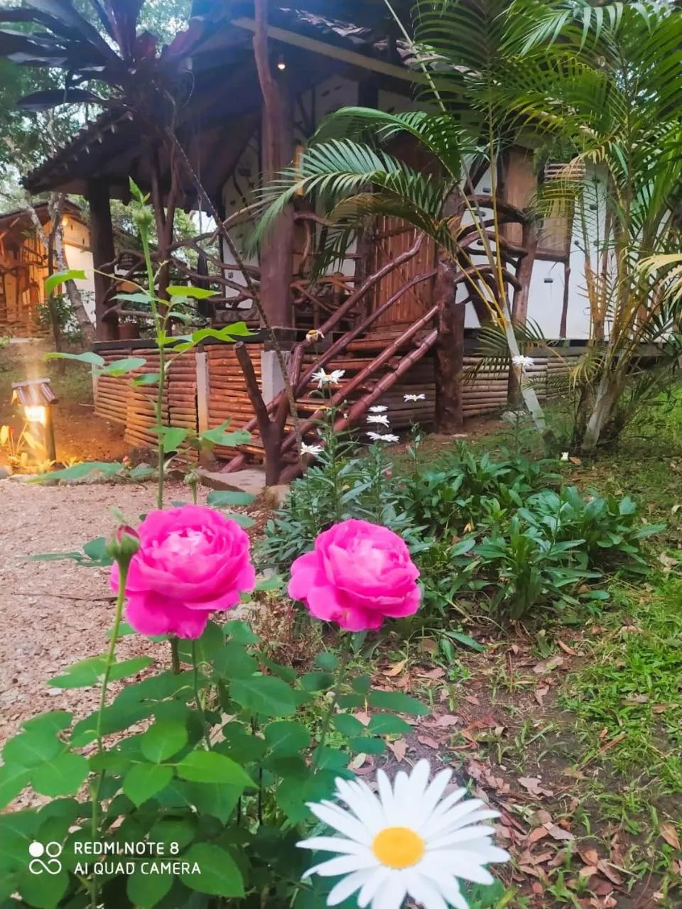 Spring in Hotel La Casa de Francois