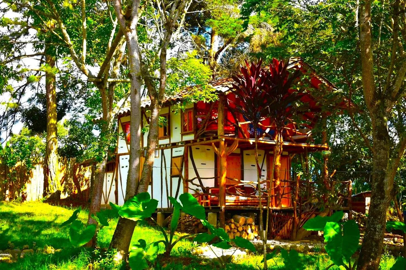 Garden in Hotel La Casa de Francois